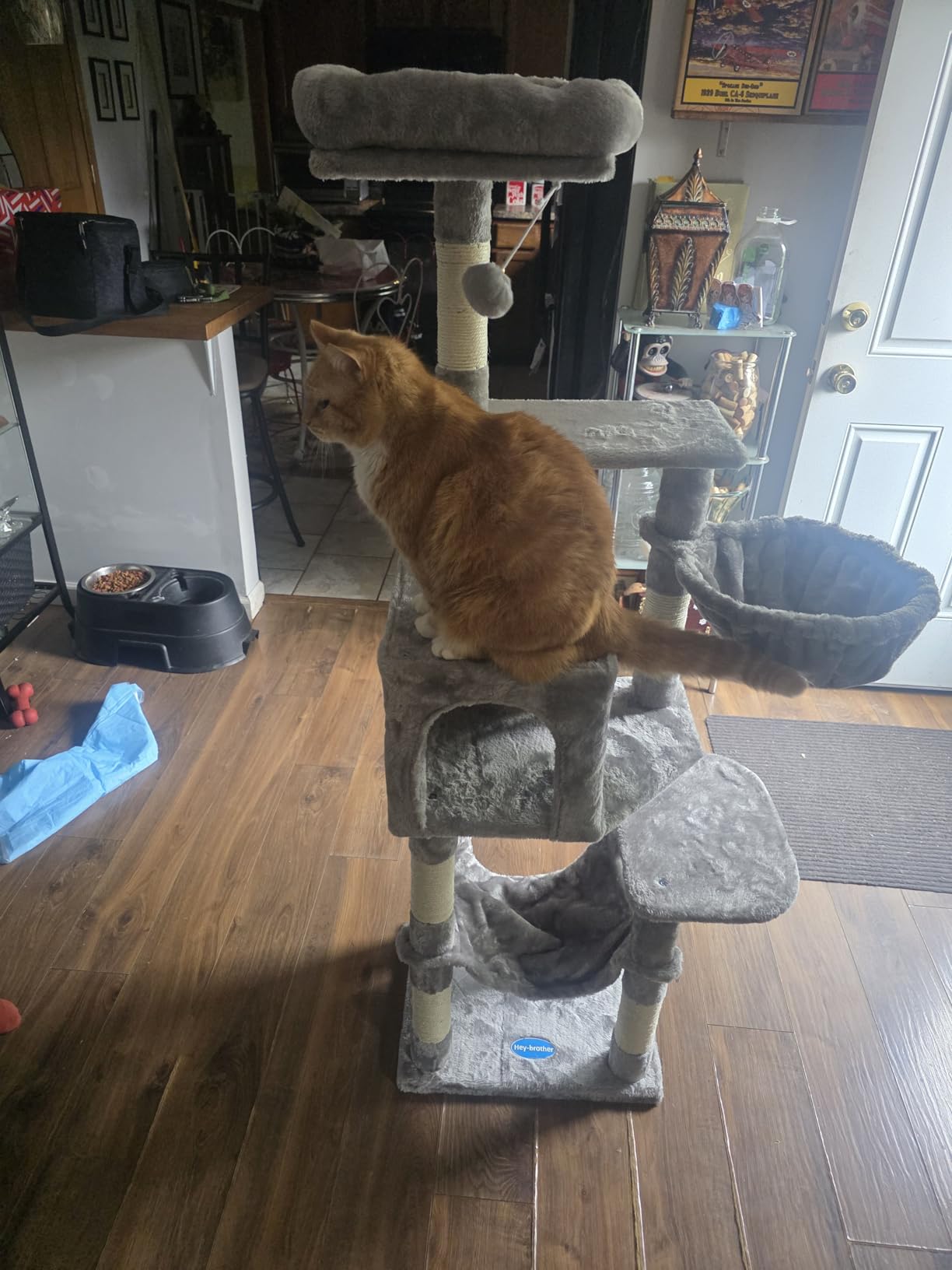 Hey-brother Cat Tree with Large Hammock, Multi-Level Cat Tower for Indoor Cats, Cat Condo with Sisal-Covered Scratching Posts and Top Perch, Light Gray MPJ050W customer photo 2