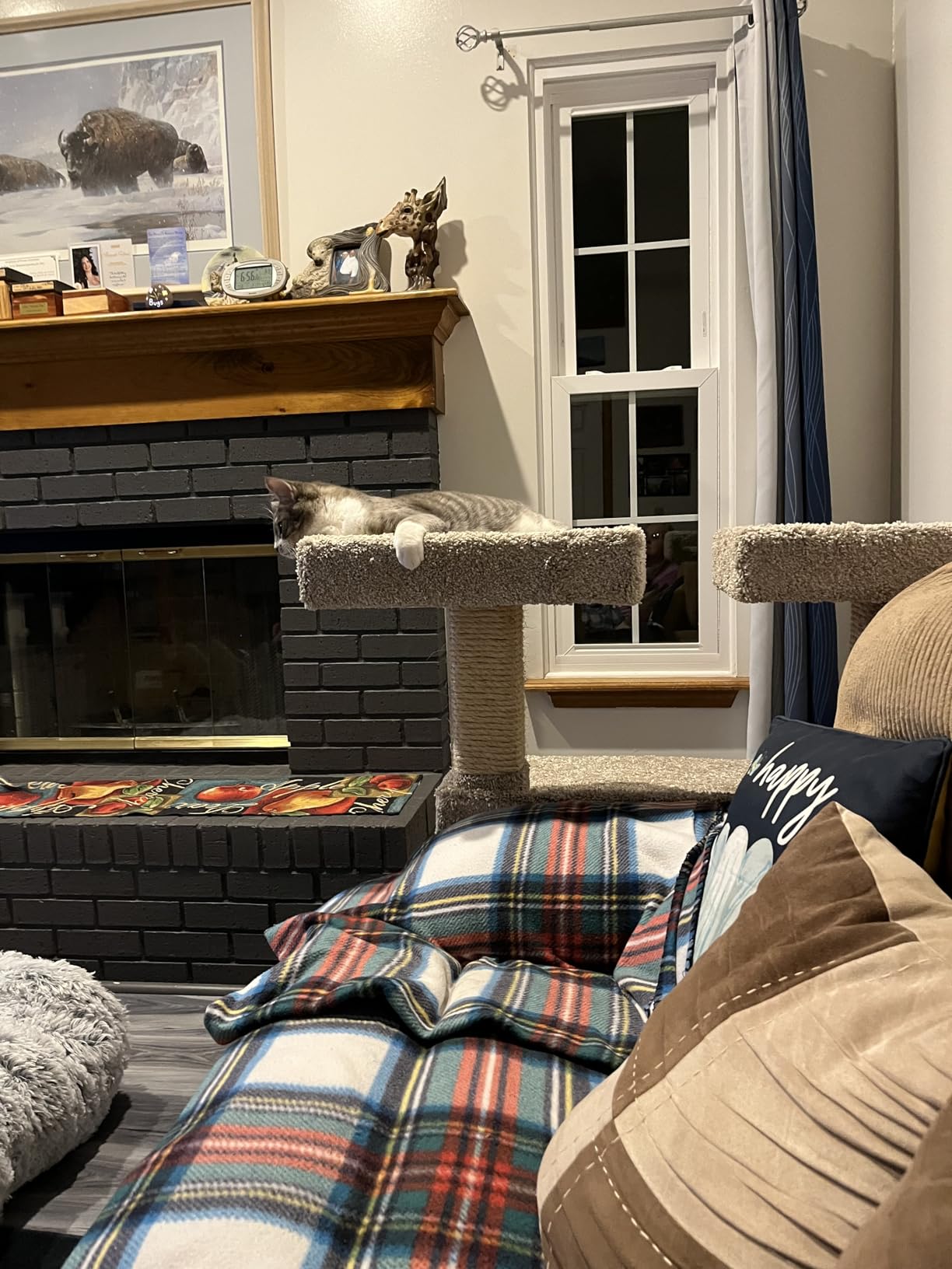 Prestige Cat Trees Maine Coon Deluxe Cat Perch - Made in USA Sturdy Solid-Wood Tower for Large & Multiple Cats - Easy 2-Step Assembly, Plush Carpet, Sisal Scratch Posts customer photo 1