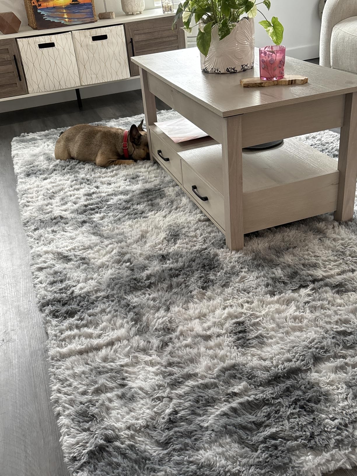 Deerhoo Large Shag Area Rugs 6 x 9, Tie-Dyed Plush Fuzzy Rug for Living Room, Ultra Soft Fluffy Furry Rugs for Bedroom, Indoor Carpet Nursery Rugs for Kids Room Home Decor, Light Grey customer photo 1