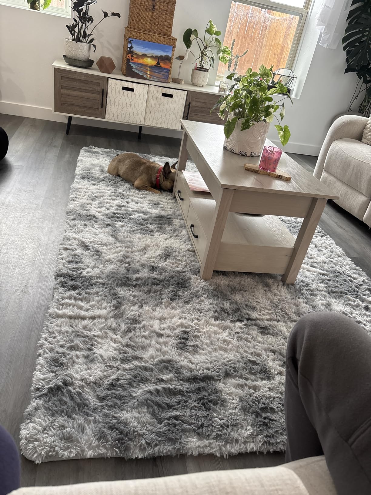 Deerhoo Large Shag Area Rugs 6 x 9, Tie-Dyed Plush Fuzzy Rug for Living Room, Ultra Soft Fluffy Furry Rugs for Bedroom, Indoor Carpet Nursery Rugs for Kids Room Home Decor, Light Grey customer photo 2