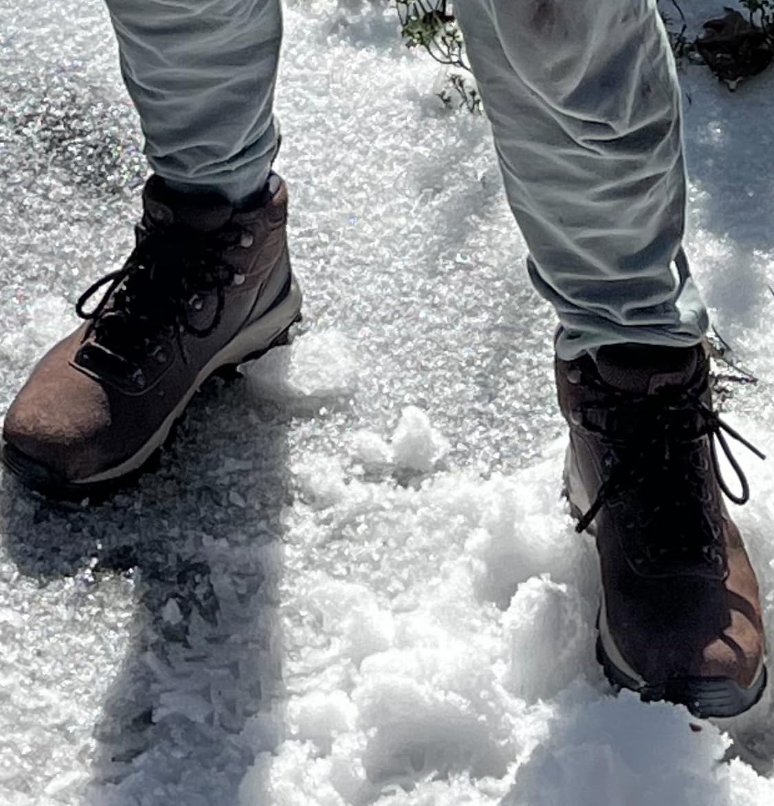 Men's Newton Ridge Plus II Suede Waterproof Hiking Boot customer photo 2