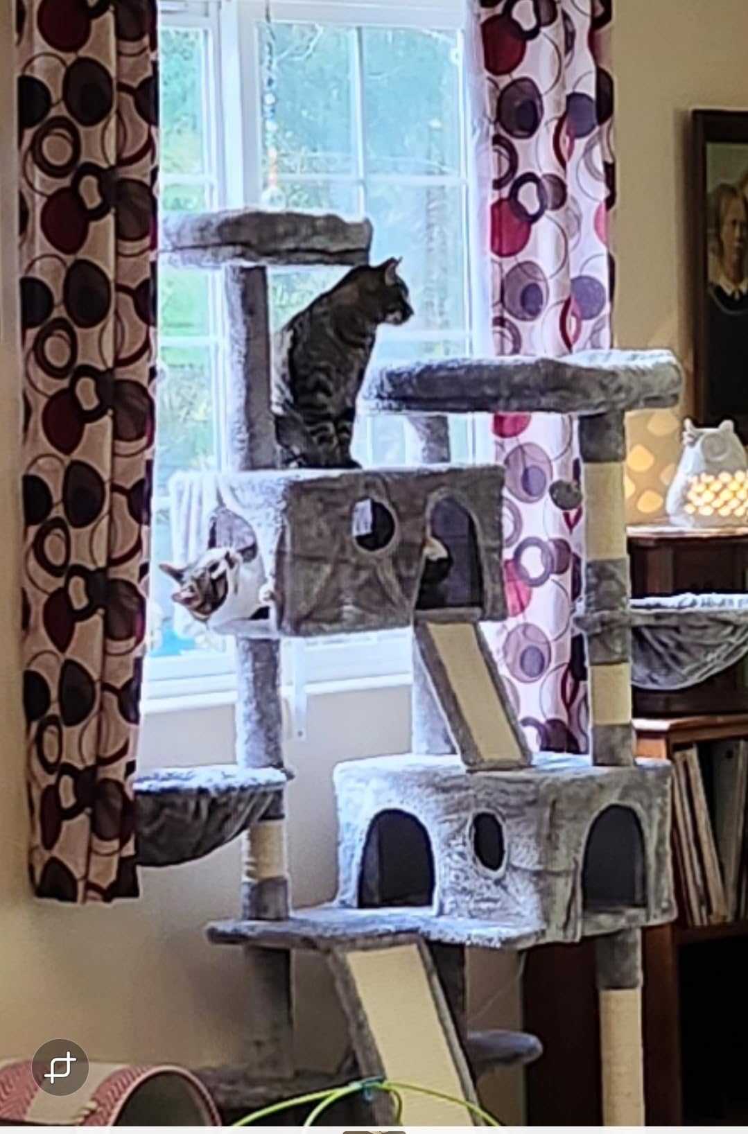 SHA CERLIN 65in Larger Cat Tree Tower Condo for Indoor Kitties/Multi-Level Furniture Activity Center with Wide Base/Cozy Plush Cat Perches/Baskets/Sisal Scratching Posts and Hammock/Beige customer photo 1