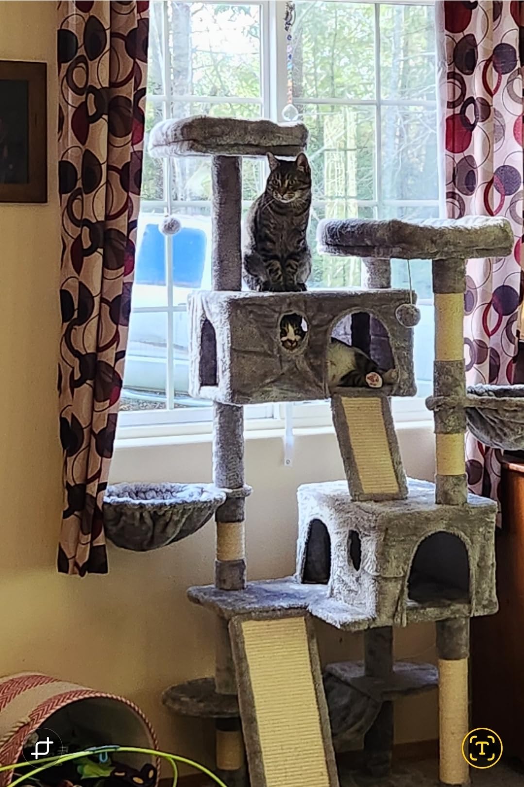 SHA CERLIN 65in Larger Cat Tree Tower Condo for Indoor Kitties/Multi-Level Furniture Activity Center with Wide Base/Cozy Plush Cat Perches/Baskets/Sisal Scratching Posts and Hammock/Beige customer photo 2
