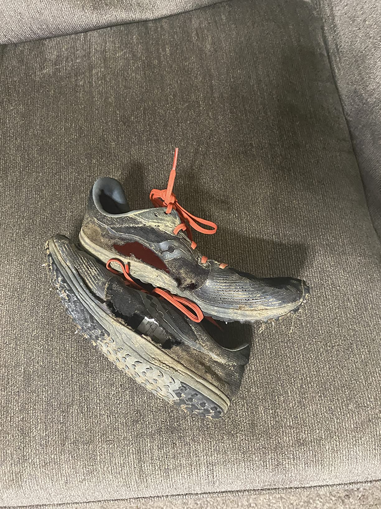 Men's Kilkenny XC 8 Cross Country Running Shoe customer photo 7