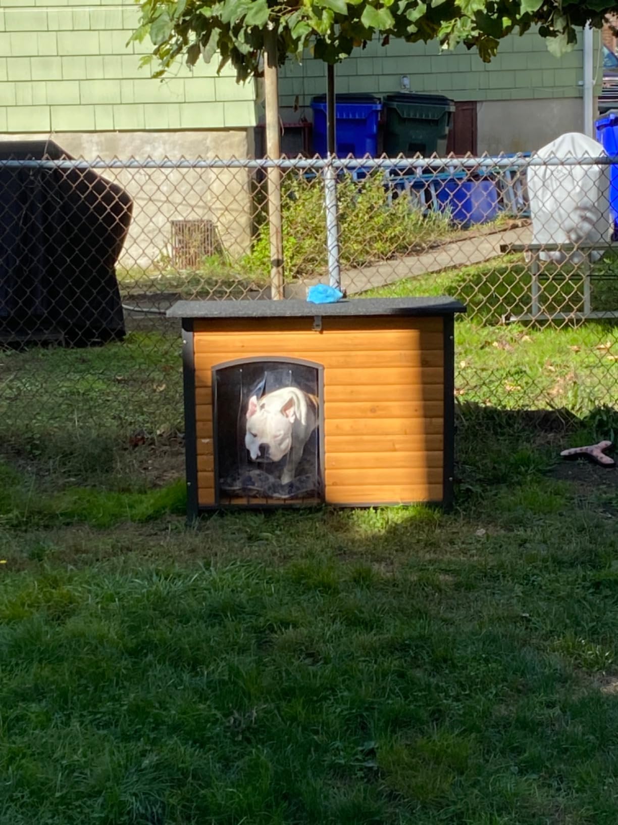 Aivituvin Heated Dog House Outdoor & Indoor Dog Kennel with Insulated Liner & Heating System for Winter Waterproof Large Dog Cage for Small & Medium & Large Dogs, Unique All-Around Iron Frame customer photo 2