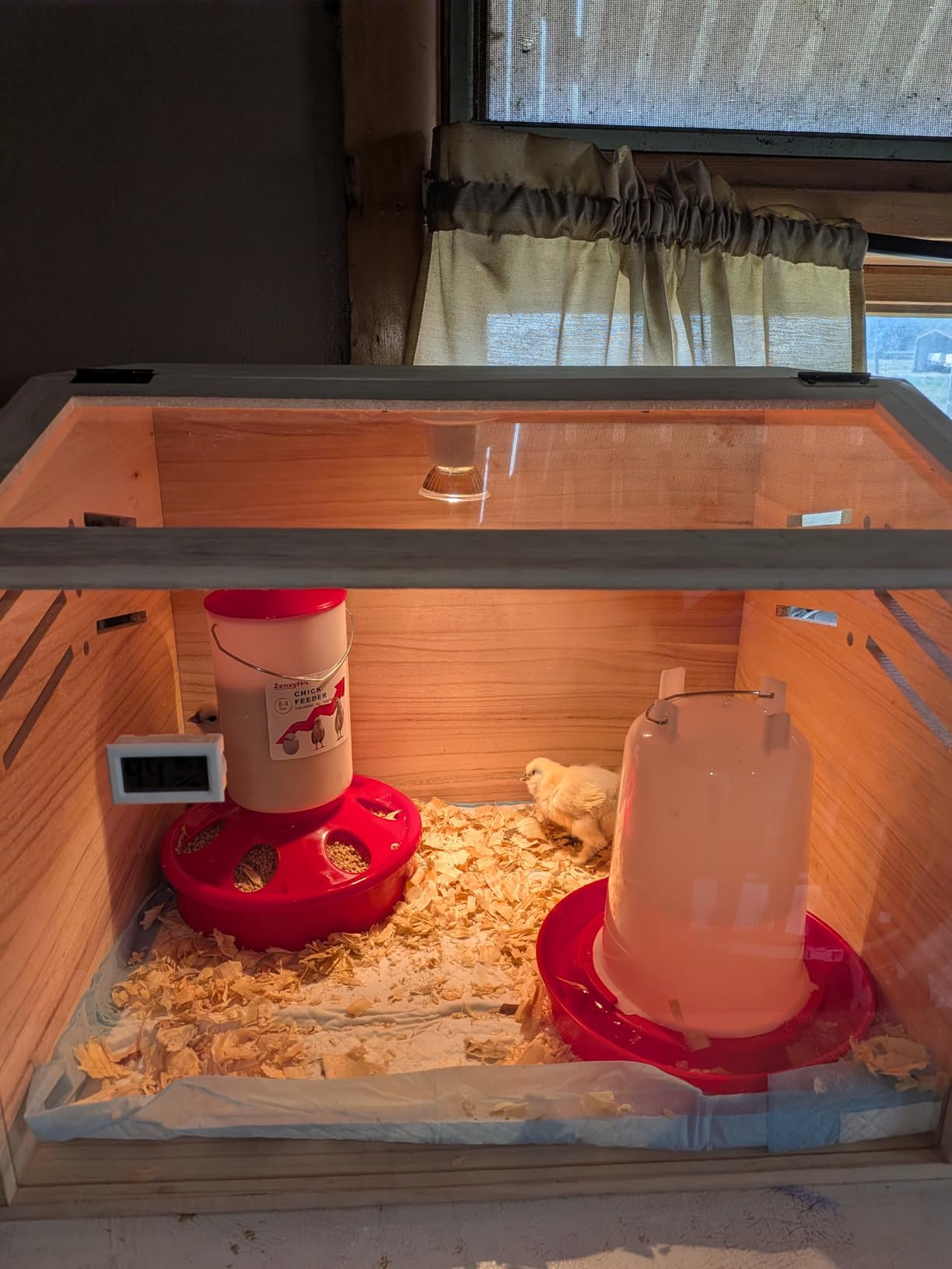 2-in-1 Chick Starter Set: 0.4 Gal Top Filling Feeder and 0.4 Gal Waterer with Adjustable Legs for Baby Chicks, Includes Scoop, Hanging Hooks, Anti-Drown Design (Red) customer photo 2