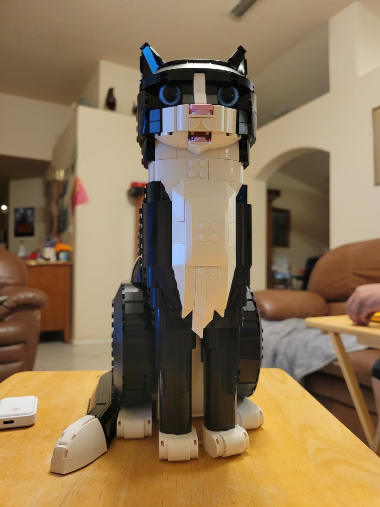 Ideas Tuxedo Cat - Building Sets for Adults, Ages 18+ - DIY Crafts Kit for Home Decor, Living Room or Bedroom - Gift for Animal Lovers - 21349 customer photo 1