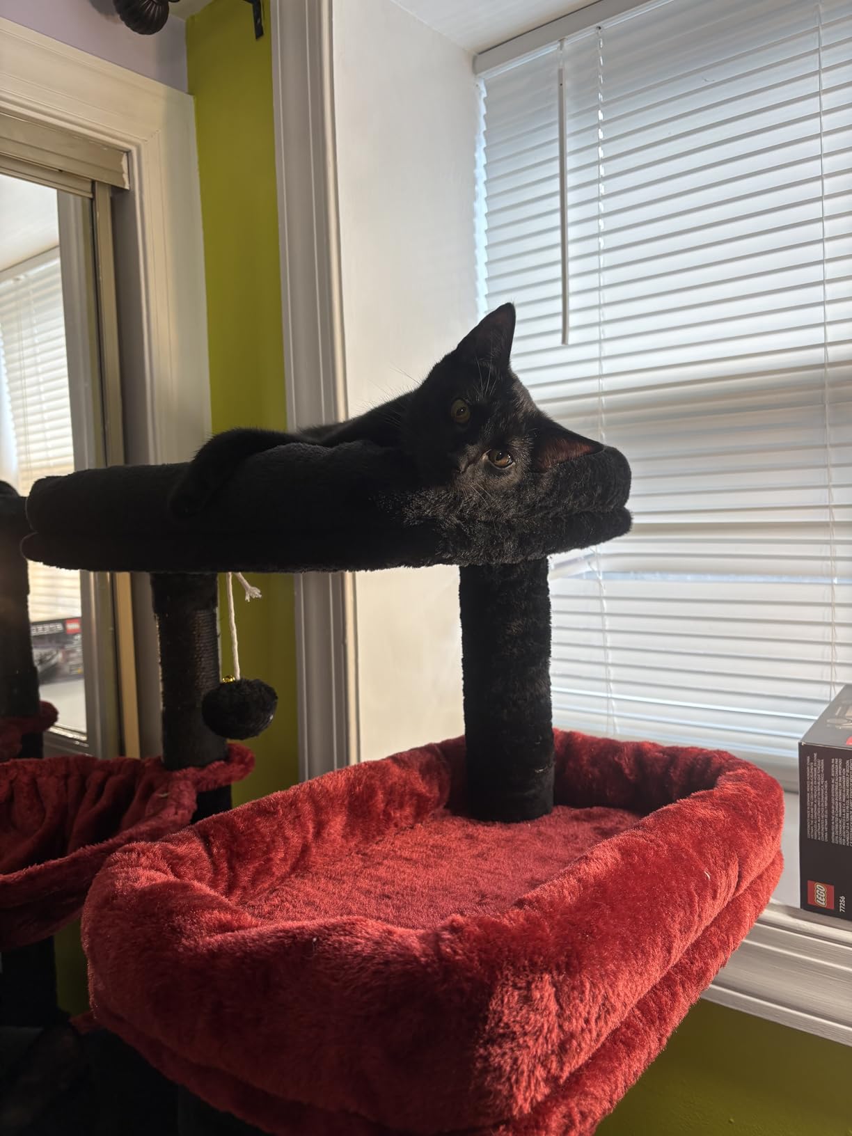Gitelsnour Cat Tree, Cat Tower for Large Cats with 2 Big Platforms, 2 Baskets, condo and Toys, 63
