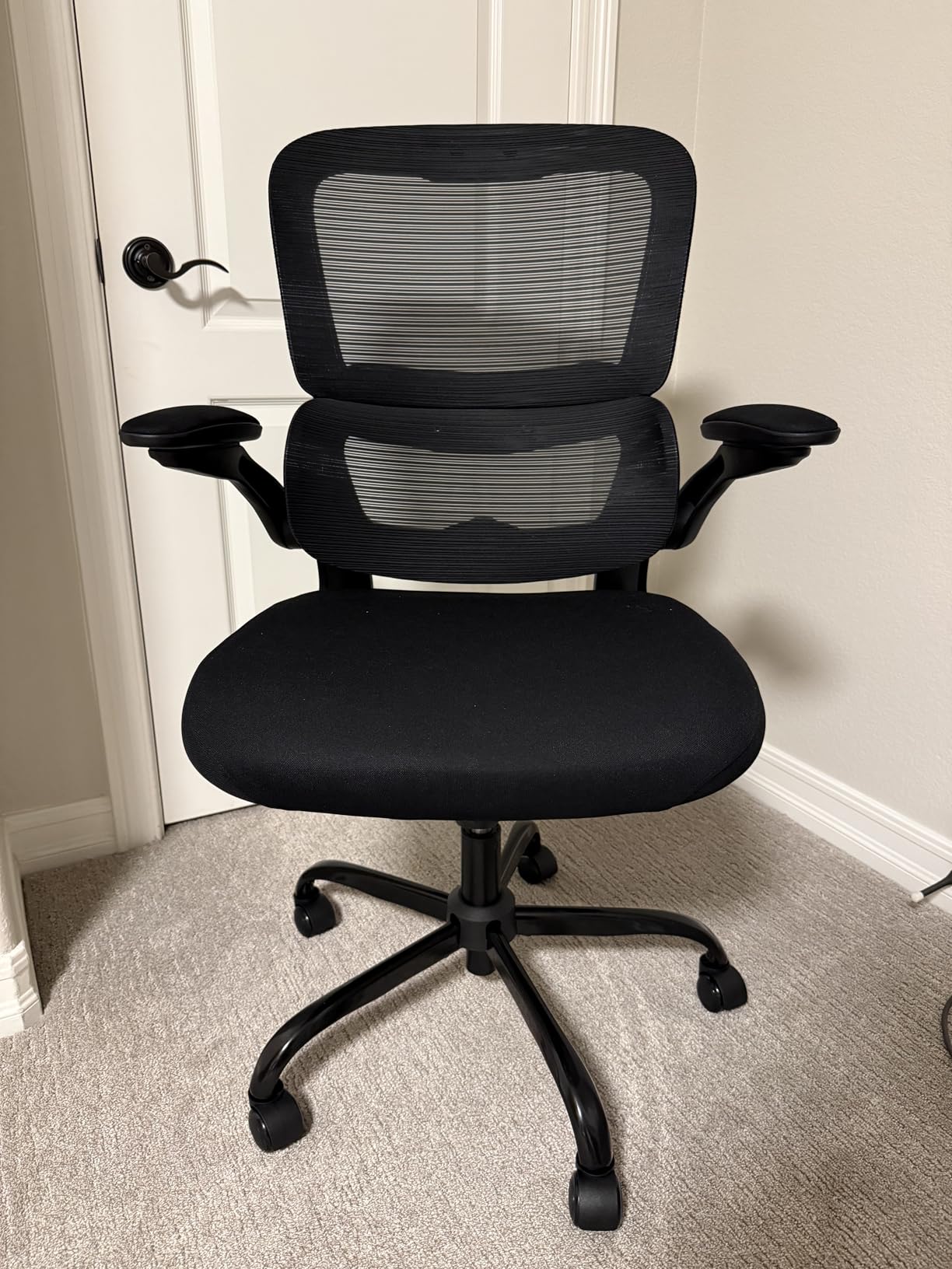 TRALT Office Chair Ergonomic Desk Chair with Adjustable Lumbar Support Mesh Computer Chair Executive Chairs for Home Office customer photo 1
