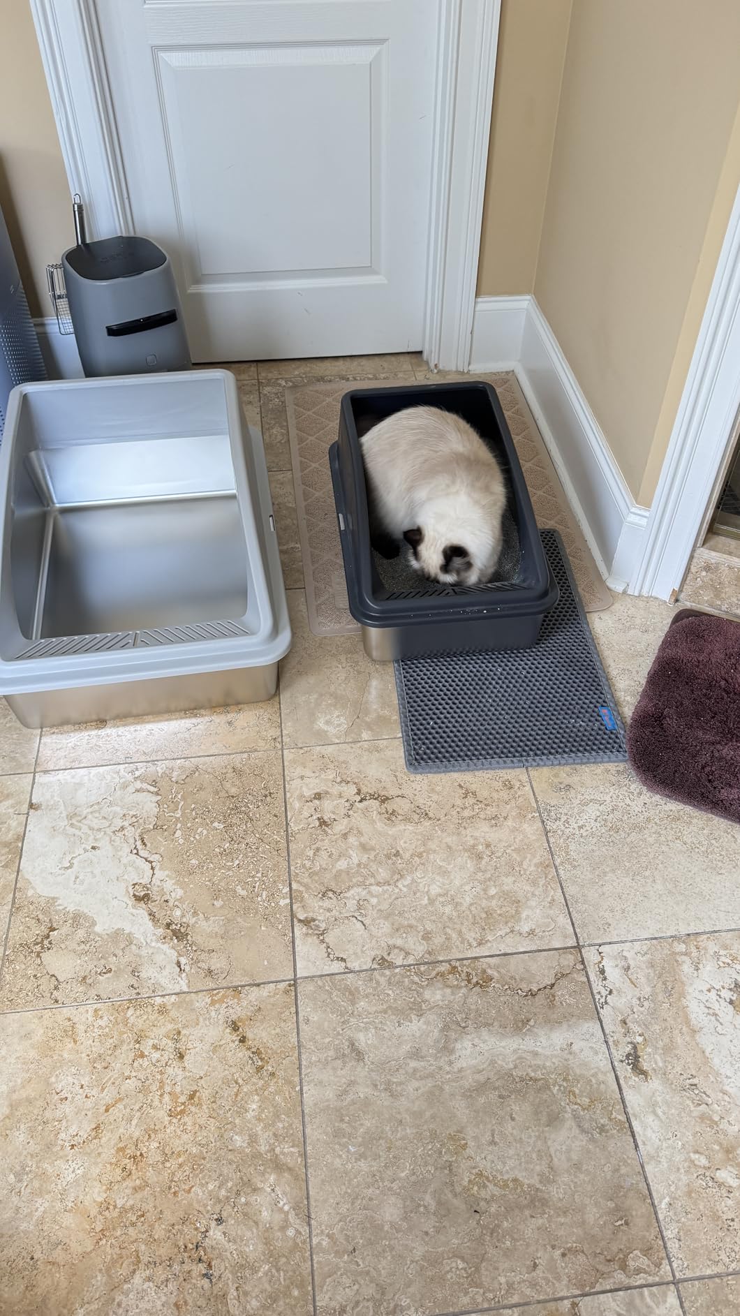 Stainless Steel Litter Box | XL Enclosed Cat Litter Boxes with Lid for Big Cats | High Sided, Anti-Urine Leakage | Non-Stick Bottom & Includes Litter Mat & Metal Scoop customer photo 1