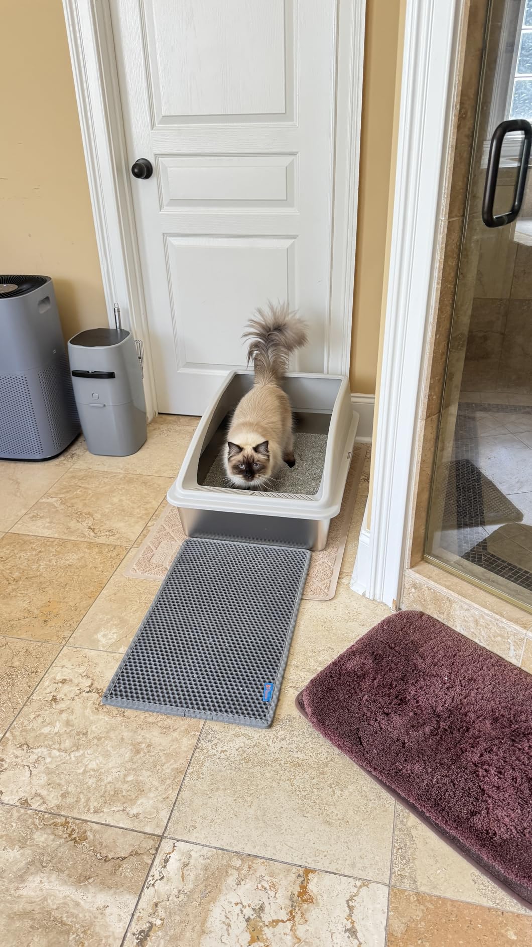 Stainless Steel Litter Box | XL Enclosed Cat Litter Boxes with Lid for Big Cats | High Sided, Anti-Urine Leakage | Non-Stick Bottom & Includes Litter Mat & Metal Scoop customer photo 2