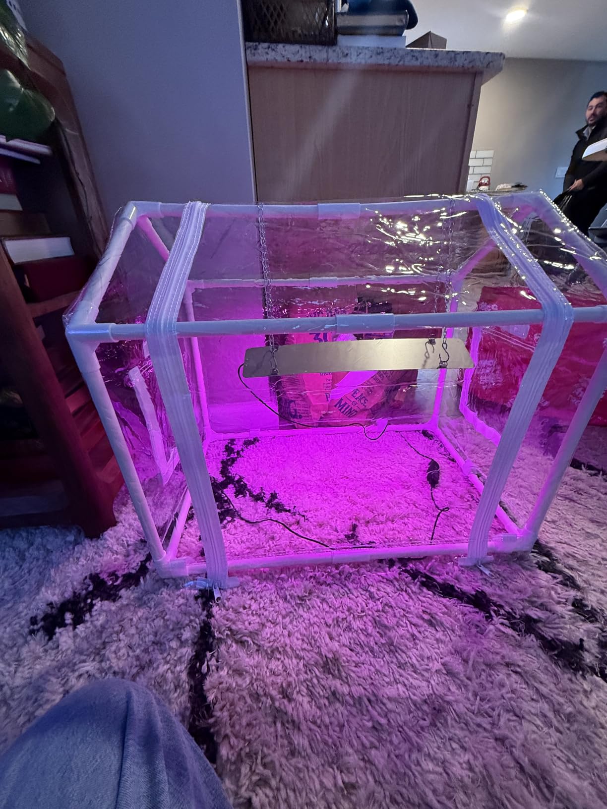Meonum Mini Greenhouse for Indoor Outdoor, Portable Green House with 15W Plant Dimmable LED Grow Lights, Timer, 3 Light Color Mode for Indoor Outdoor Seed Starter Tray customer photo 2