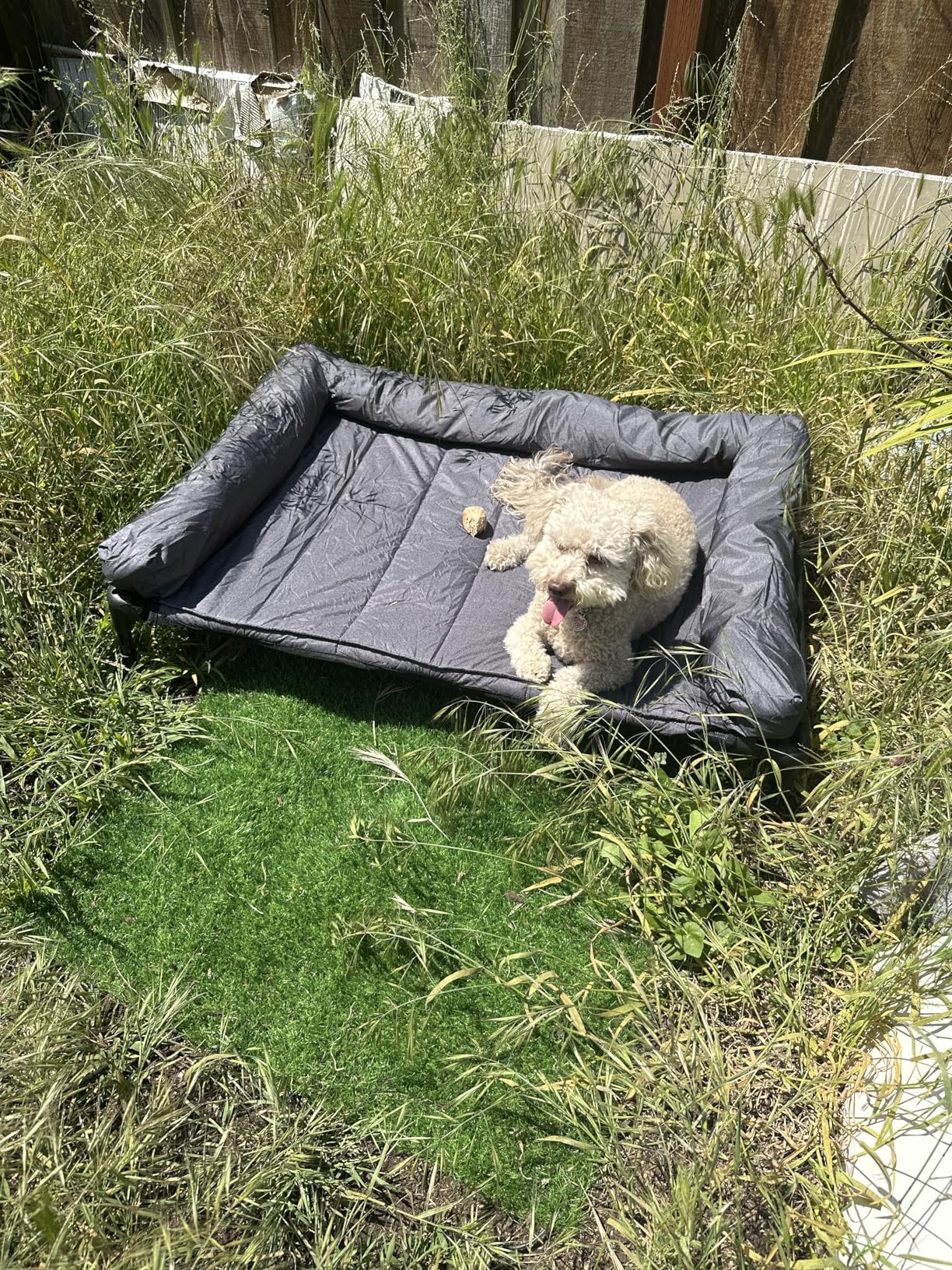 Veehoo Cooling Elevated Dog Bed with Removable Waterproof Bolster Cushion Mat, Raised Pet Cot with Breathable Teslin Mesh, 42x30inches, Black customer photo 1