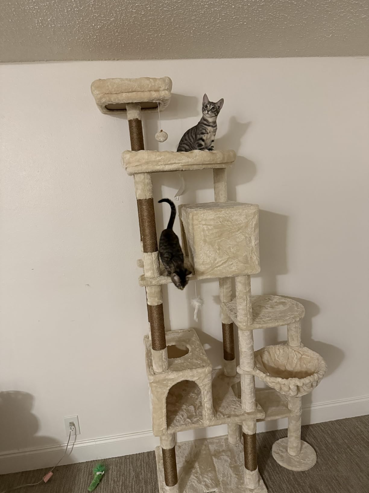 Globlazer Giant Cat Tree, 83 inch Cat Tree for Indoor Cats Large Adult, XXL Cat Tower with 9 Scratching Posts for 20lb+ Heavy Duty Large Adult Cats, F83, Dark Grey customer photo 1