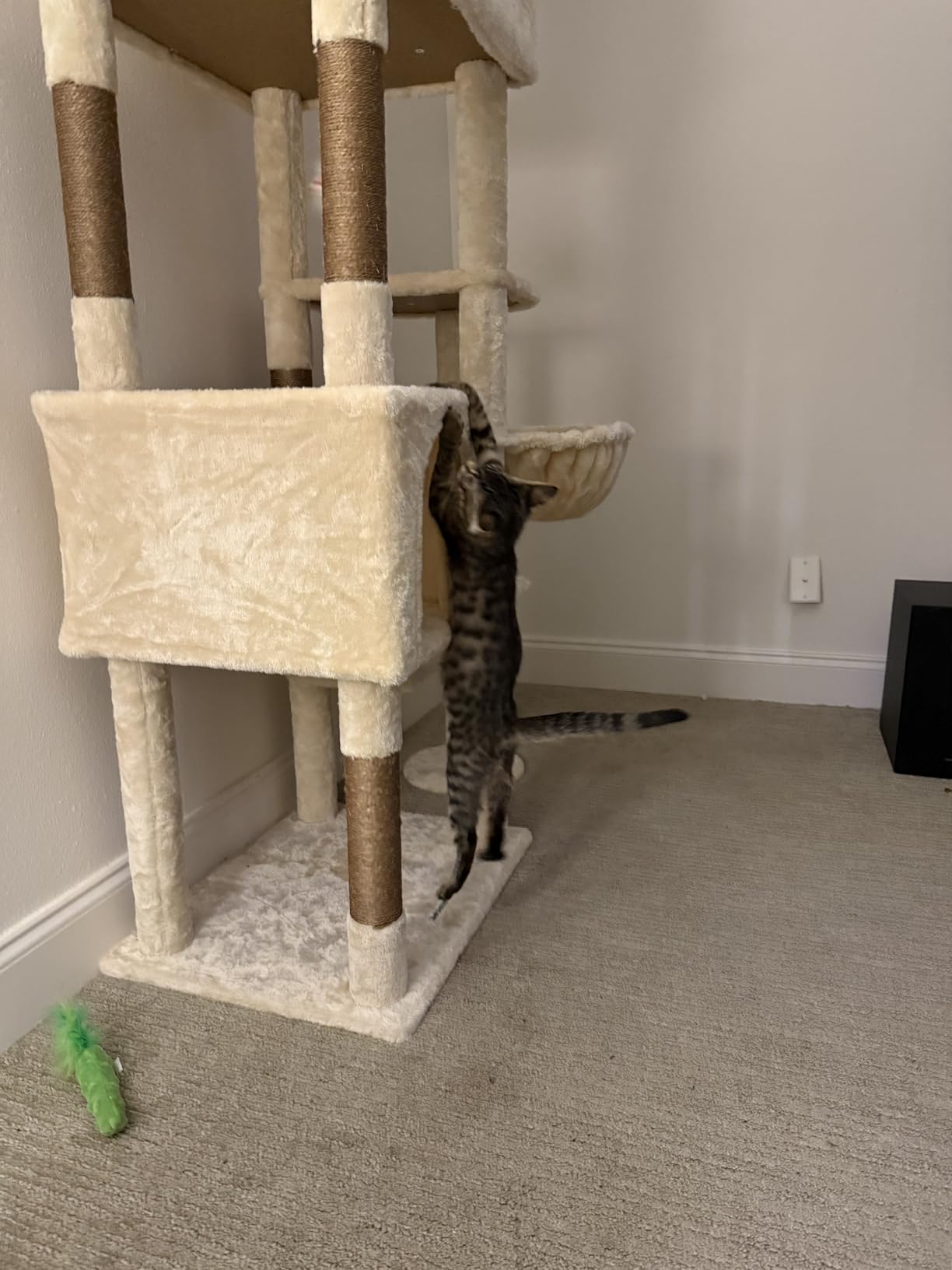 Globlazer Giant Cat Tree, 83 inch Cat Tree for Indoor Cats Large Adult, XXL Cat Tower with 9 Scratching Posts for 20lb+ Heavy Duty Large Adult Cats, F83, Dark Grey customer photo 2