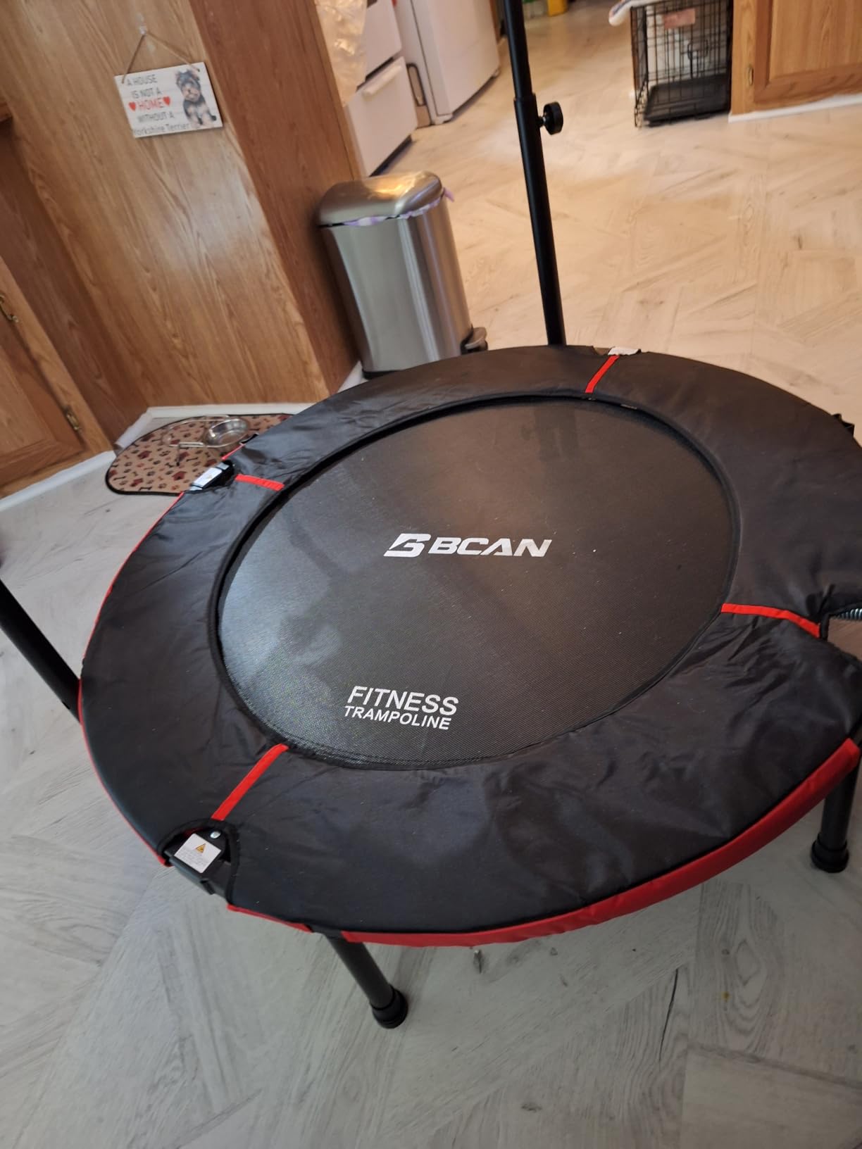 BCAN SP3 40