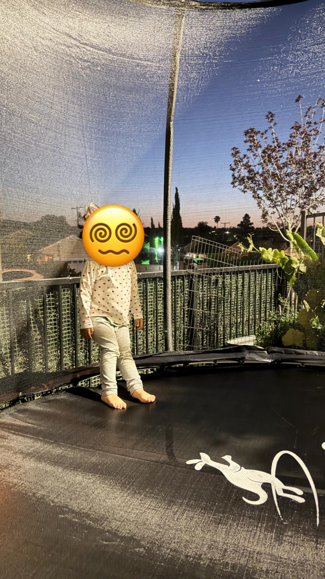 JELENS Trampoline 8FT 10FT 12FT 14FT 15FT 16FT, Recreational Trampolines with Enclosure Net, Outdoor Anti-Rust Trampolines for Kids and Adults, ASTM Approved customer photo 1