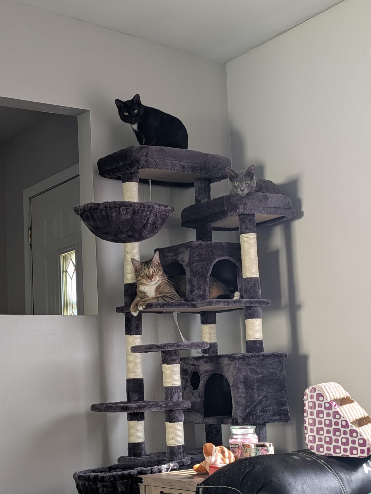 Hey-brother Cat Tree, 74 inches Multi-Level XL Large Cat Tower for Indoor Cats with Three Cat Condos, Two Large Top Decks and Cat Hairbrushfor Kittens, Cats and Pets, Smoky Gray MPJ035-MG customer photo 1