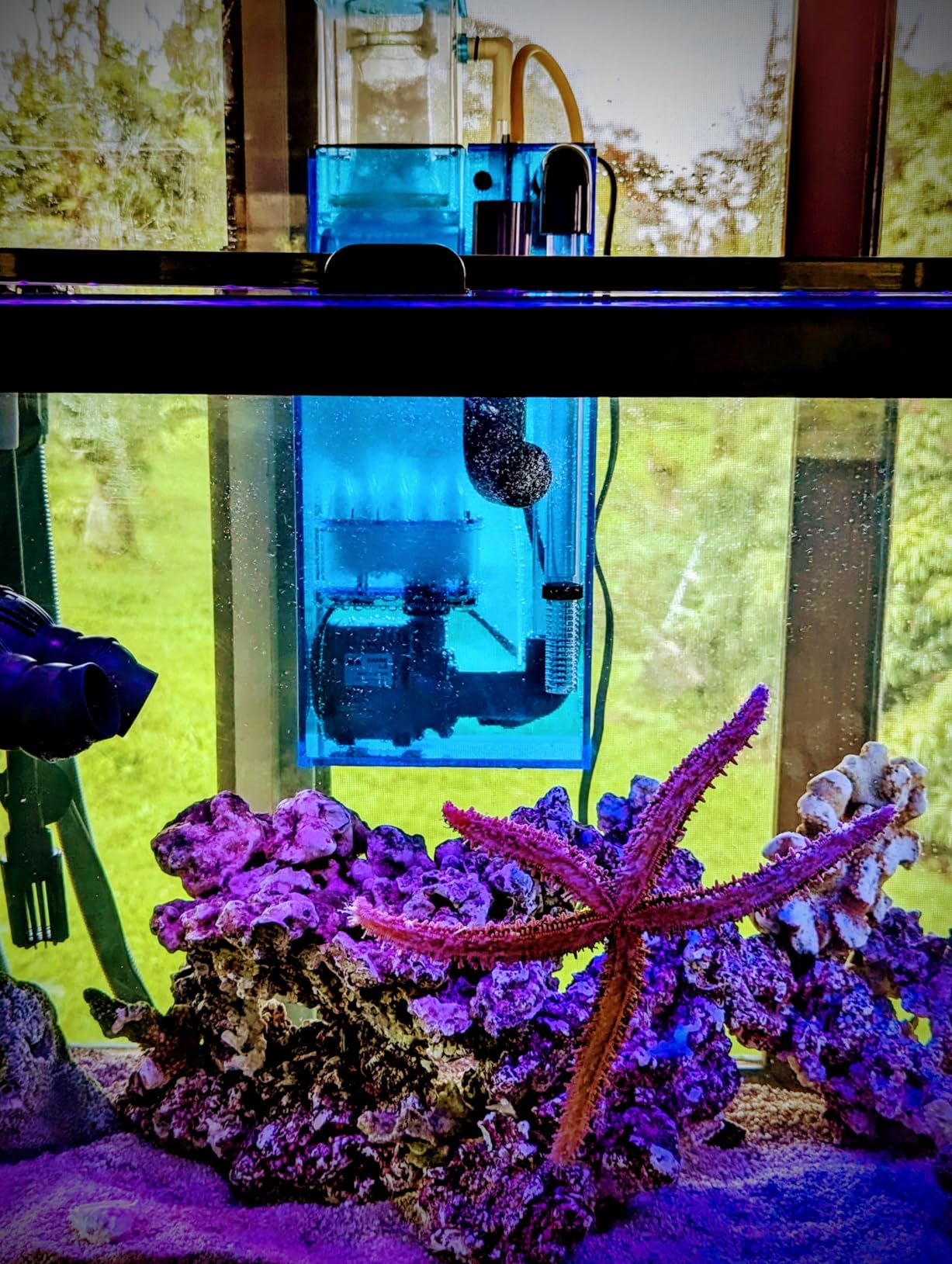 AquaReady Hang On Back Protein Skimmer for Saltwater Aquariums HOB-1.5, Up to 75 Gallon Fish Tank Filtration, Hang On External, Adjustable, Ultra Quiet Pinwheel Pump customer photo 2