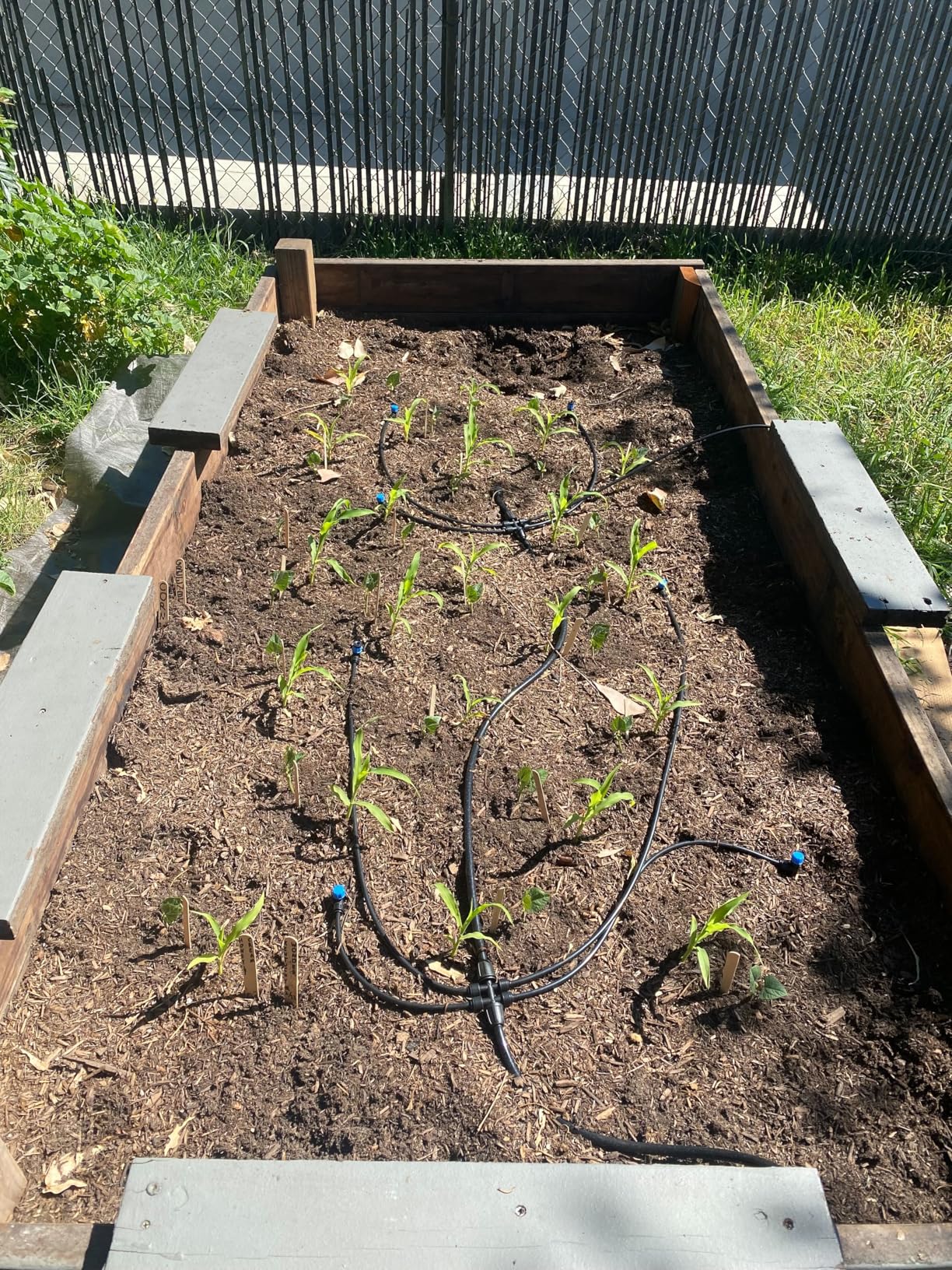 Bonviee Drip Irrigation System 230FT - Quick Connect Garden Watering Kit with Adjustable Drip Emitters, 1/4