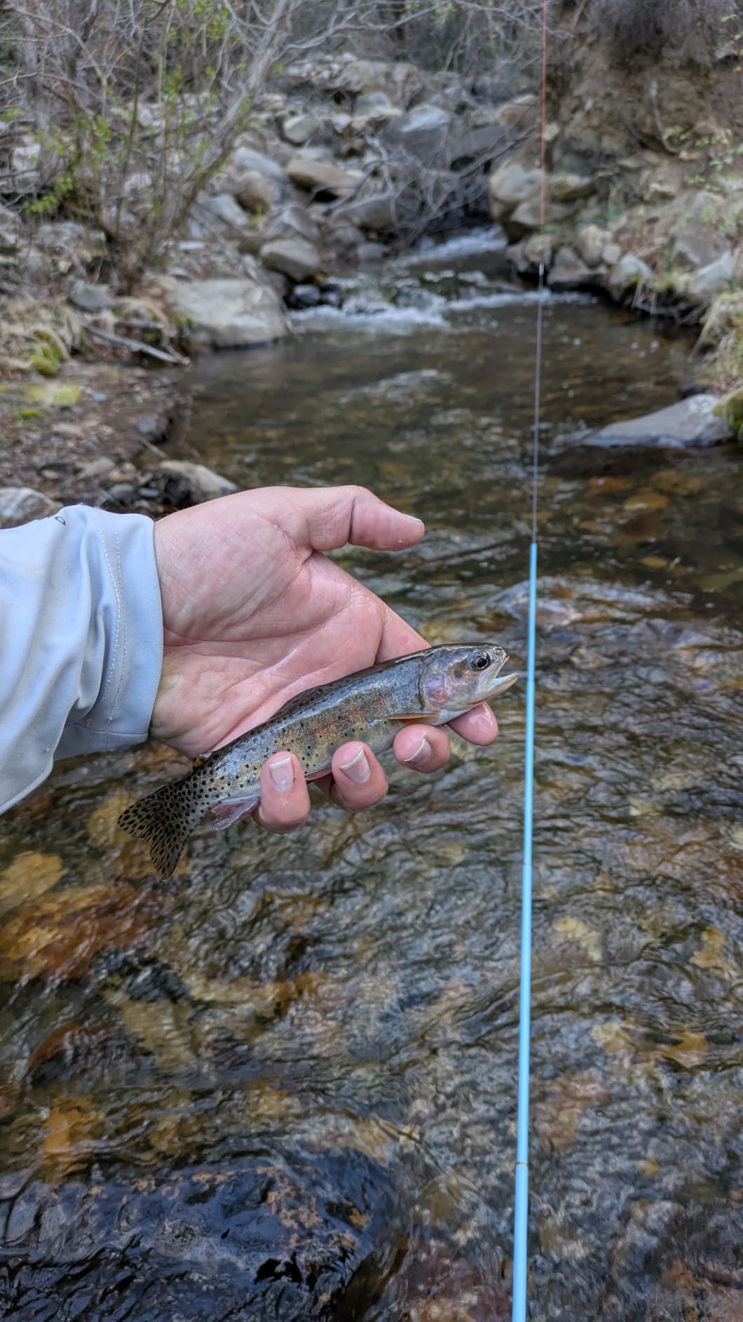 Aventik FreshStart Tenkara Rod in 7ft/8ft, Complete Beginner Tenkara Rod Kit, 24T Carbon Fiber, Easy to Cast Flexible Durable Lightweight and Compact customer photo 2