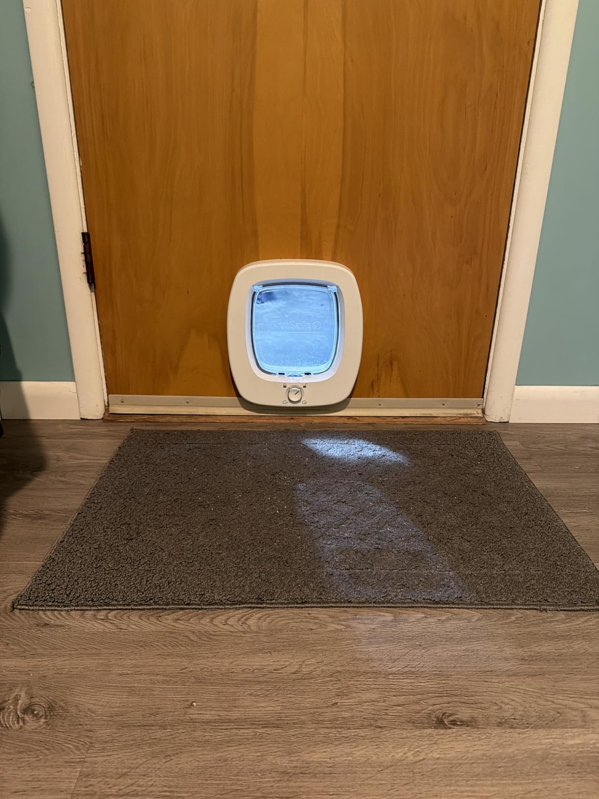 PetSafe Big Cat Door Interior and Exterior Pet Door for Cats, Small Dogs and Multi-Pet Households Push-&-Turn 4-Way Locking Mechanism for Extra Security Soft Close Flap for Added Safety customer photo 2