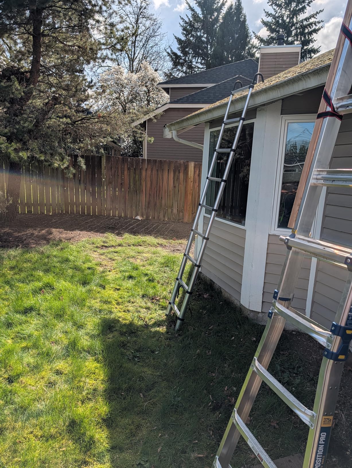RIKADE Telescopic Ladder, 16.5 ft Aluminum Telescoping Ladder with Non-Slip Feet and Stable Hook, Portable Extension Ladder for Household and Outdoor Working, Max Load 330 lb, Black customer photo 2