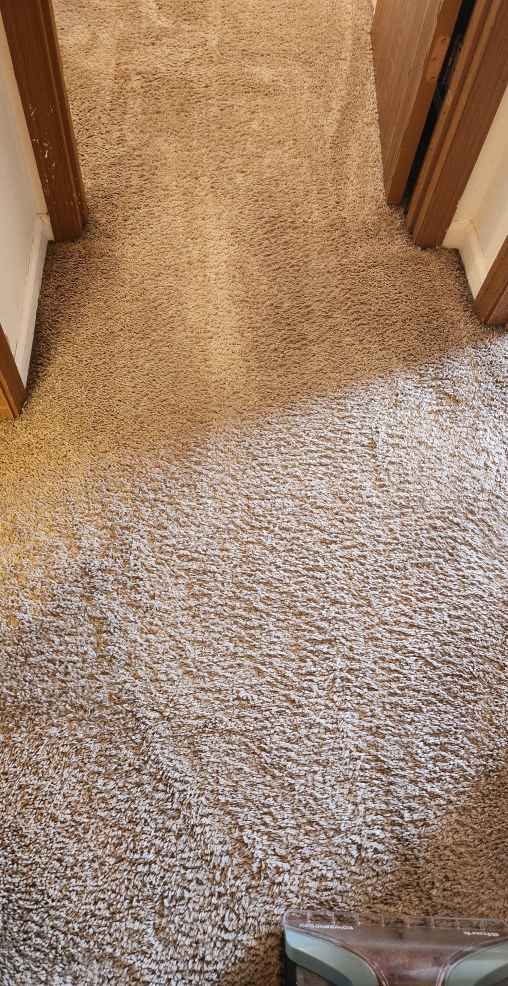 Shark CarpetXpert Upright Carpet, Area Rug & Upholstery Cleaner with Handheld Spot & Stain Eliminator, EX151 customer photo 2
