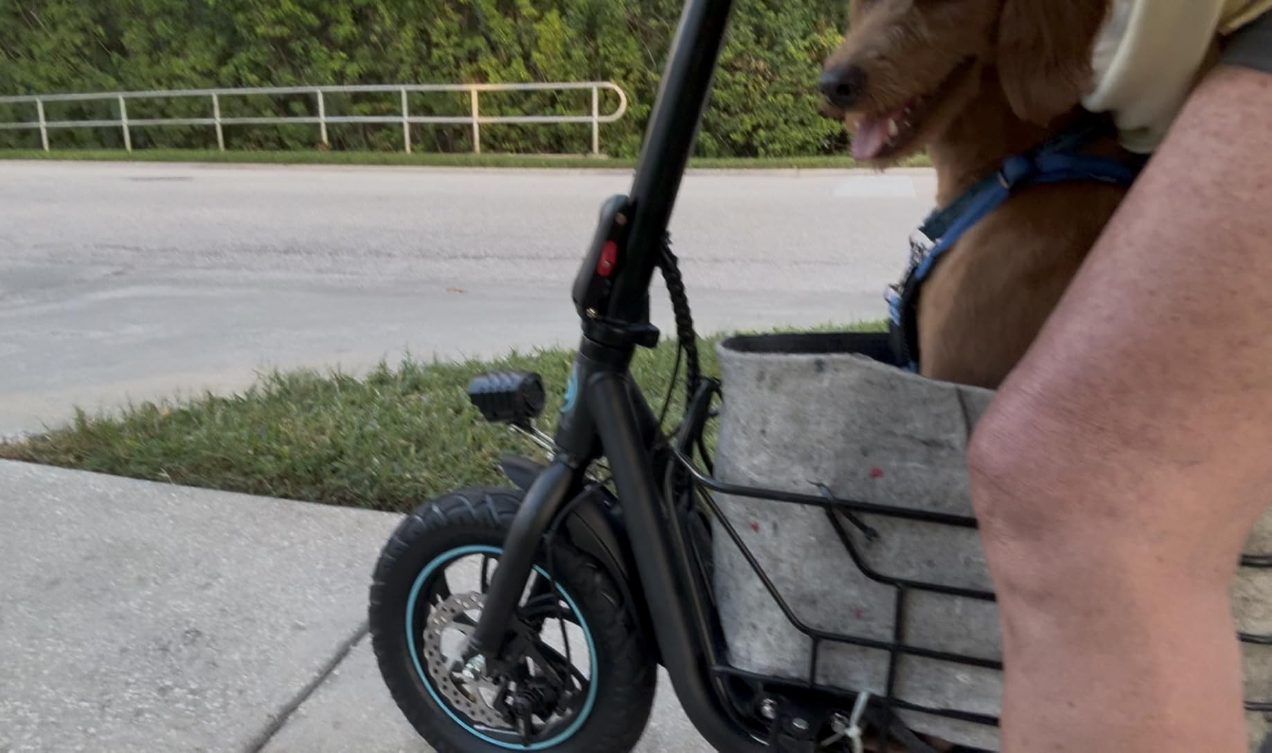 Gyroor C1S Electric Scooter with Seat for Adults - 550W Motor, Pet Basket, 19 MPH Top Speed, 20 Miles Range, 12