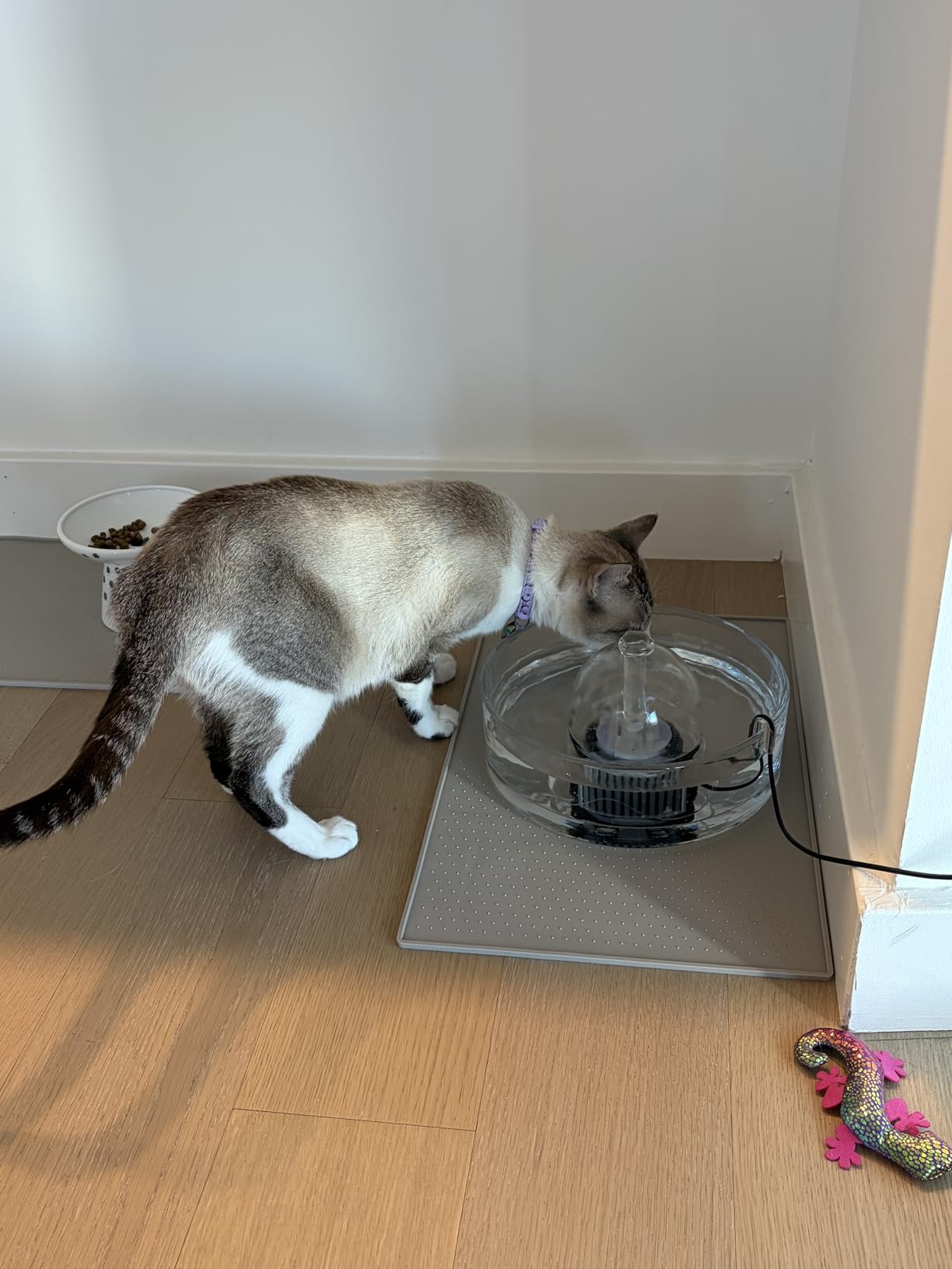 Brook Glass Pet Fountain (90oz/2.7L) - Cat & Dog Water Fountain - Glass Cat Fountain & Automatic Water Dispenser for Drinking customer photo 1
