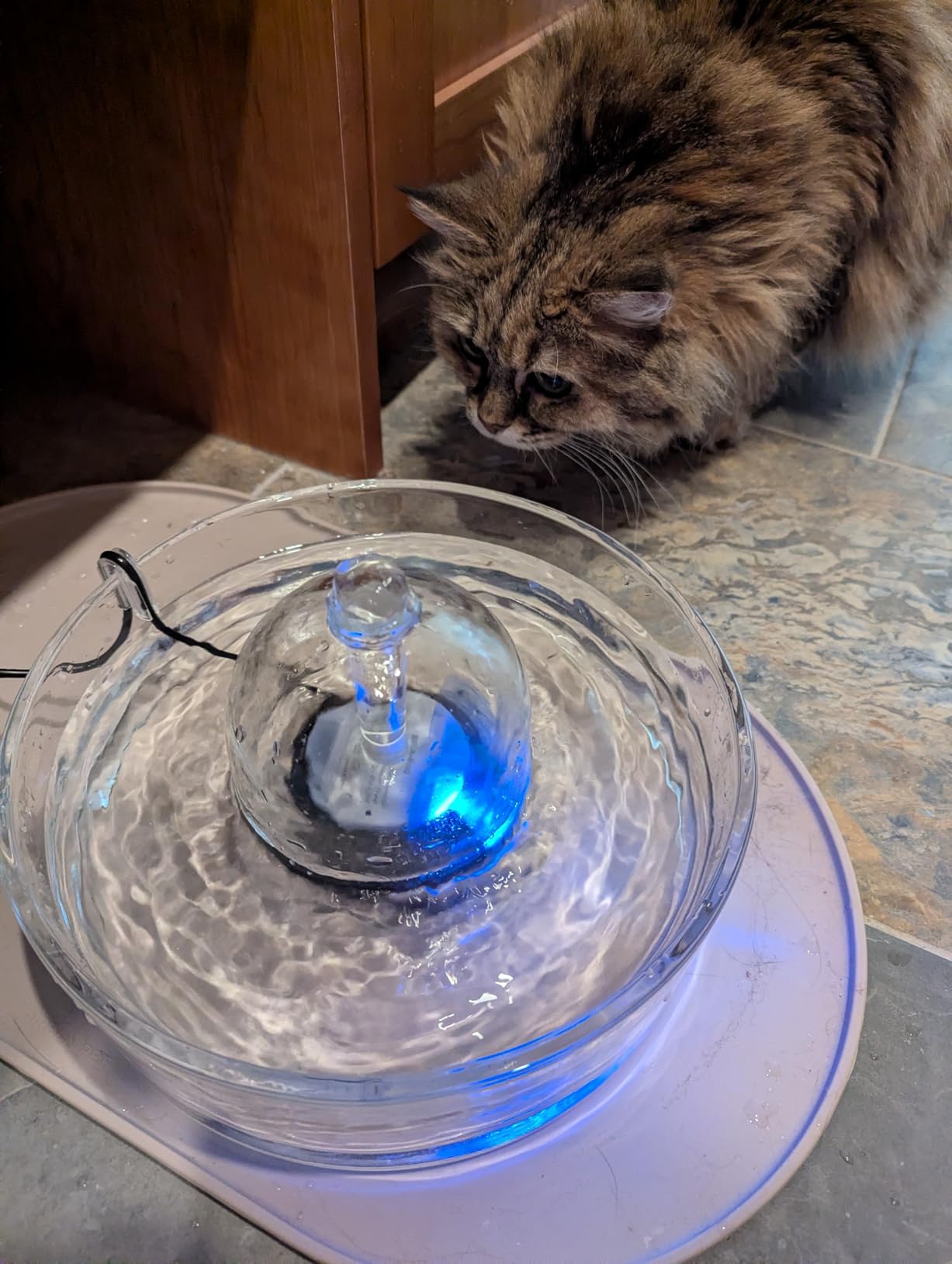 Brook Glass Pet Fountain (90oz/2.7L) - Cat & Dog Water Fountain - Glass Cat Fountain & Automatic Water Dispenser for Drinking customer photo 2