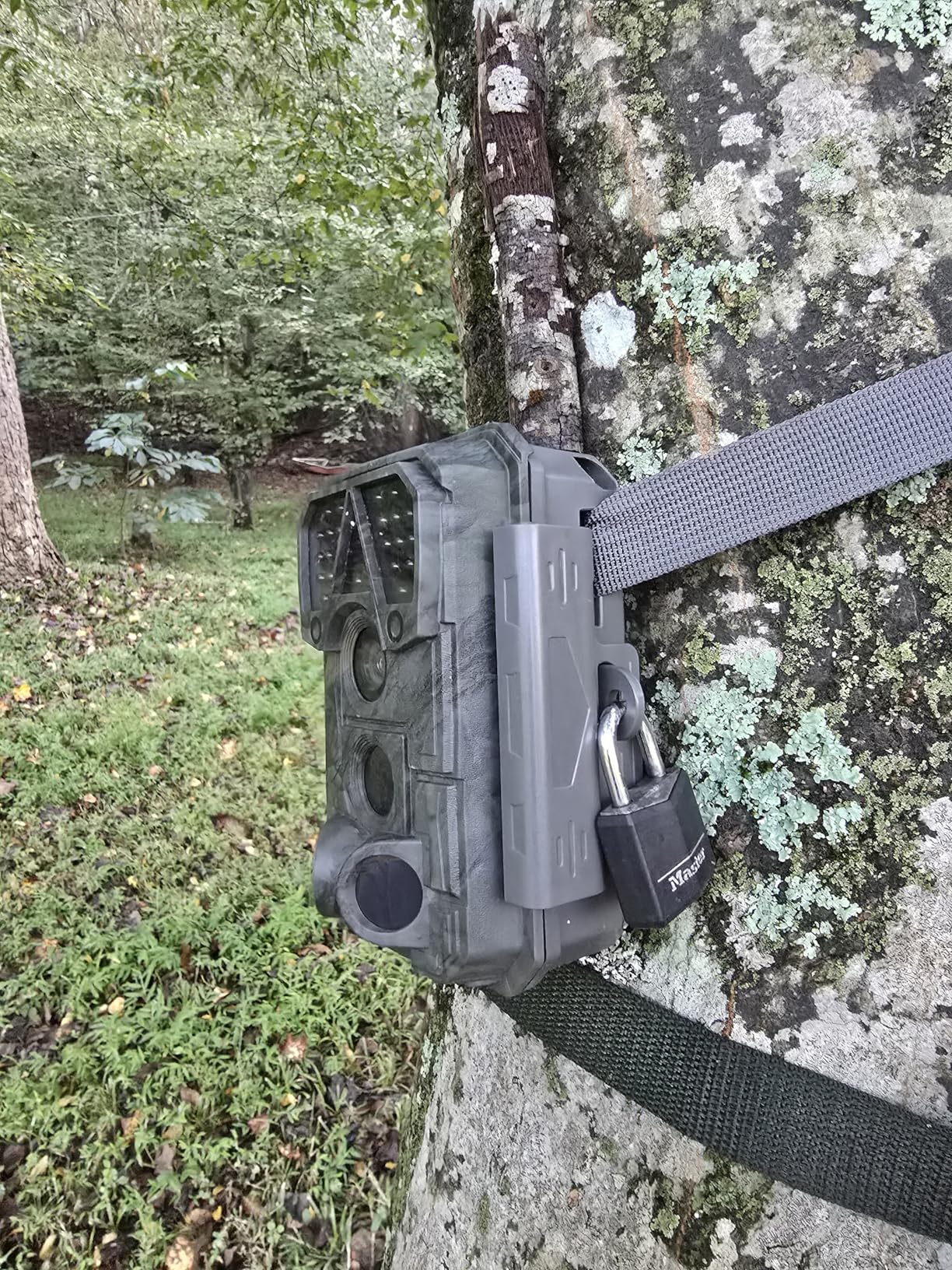 Meidase P70 (Non-Cellular, Non-WiFi) Trail Camera, 64MP 1296p, Game Cameras with No-Glow IR Night Vision, Motion Activated, Waterproof for Wildlife Deer Cams, Hunting customer photo 2