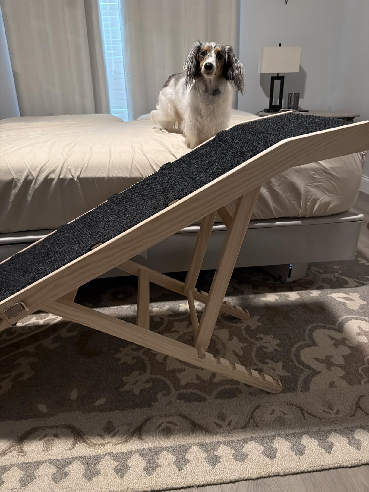 2026 Upgrade Dog Ramp for Bed, 64