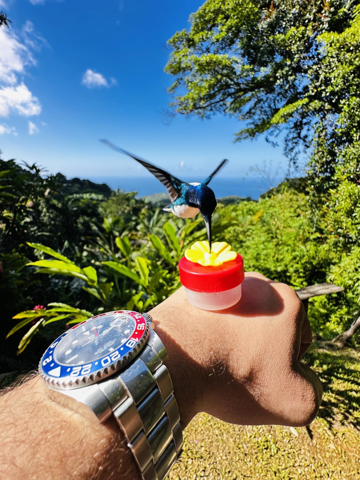 Men Watch Pagani Design GMT Watches for Men Automatic 40MM Date 100M Waterproof Stainless Steel Sapphire Glass Mechanical Wristwatches PD-1662 customer photo 1
