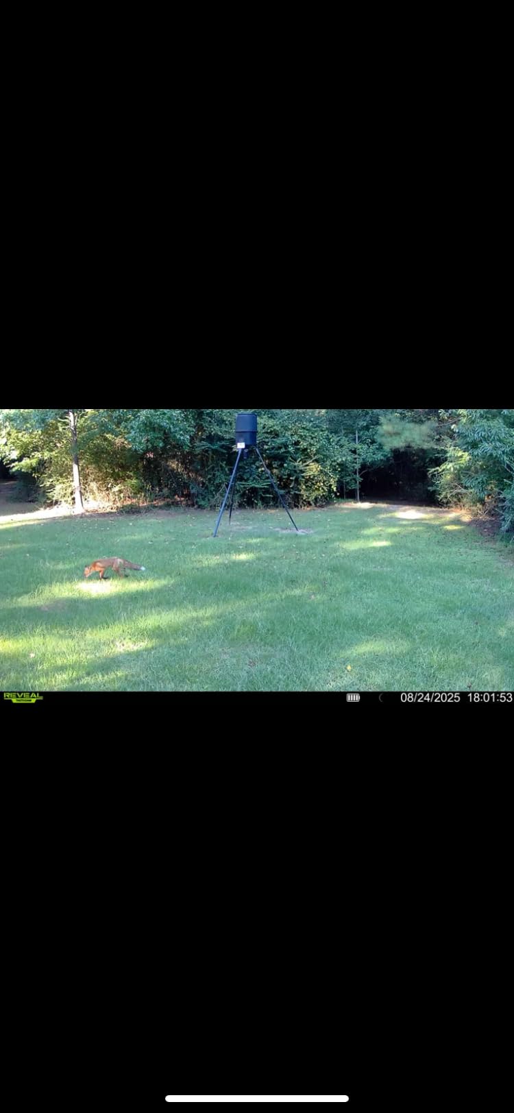 TACTACAM Reveal X 3.0 Cellular Trail Camera - Auto Connect 4G LTE, 4K Photo, 1080p Video, Low-Glow IR Flash, No SD Card Needed, Long Battery Life - Best Hunting, Game & Property Monitoring Camera customer photo 1