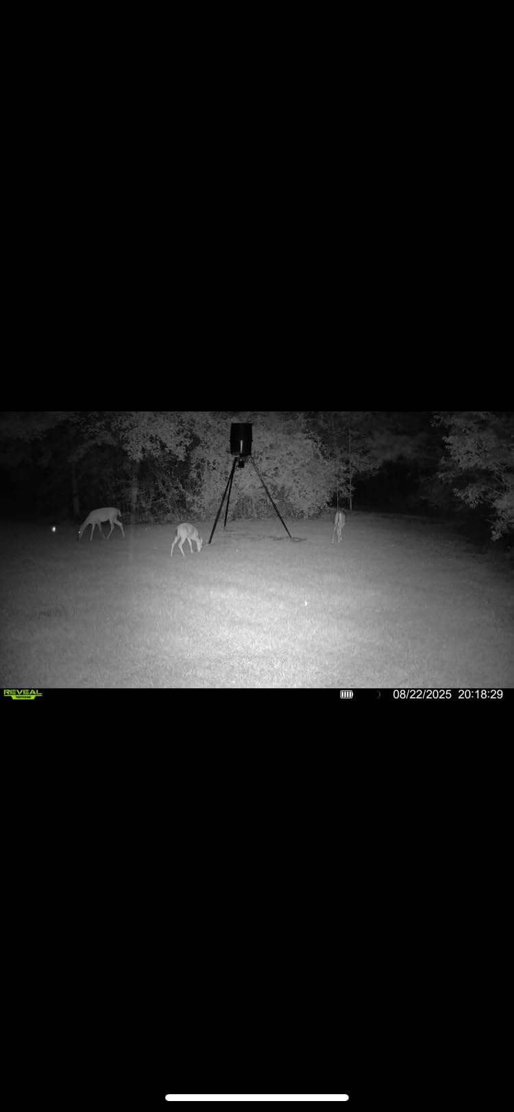 TACTACAM Reveal X 3.0 Cellular Trail Camera - Auto Connect 4G LTE, 4K Photo, 1080p Video, Low-Glow IR Flash, No SD Card Needed, Long Battery Life - Best Hunting, Game & Property Monitoring Camera customer photo 2