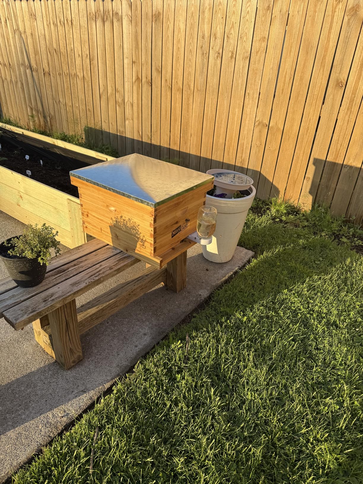 MayBee 10-Frame Beehive Starter Kit, Bee Hive Kit Dipped in 100% Beeswax, Bee Hives Boxes Starter Kit Includes Beekeeping Supplies Tool Kit and Bee Suit customer photo 2