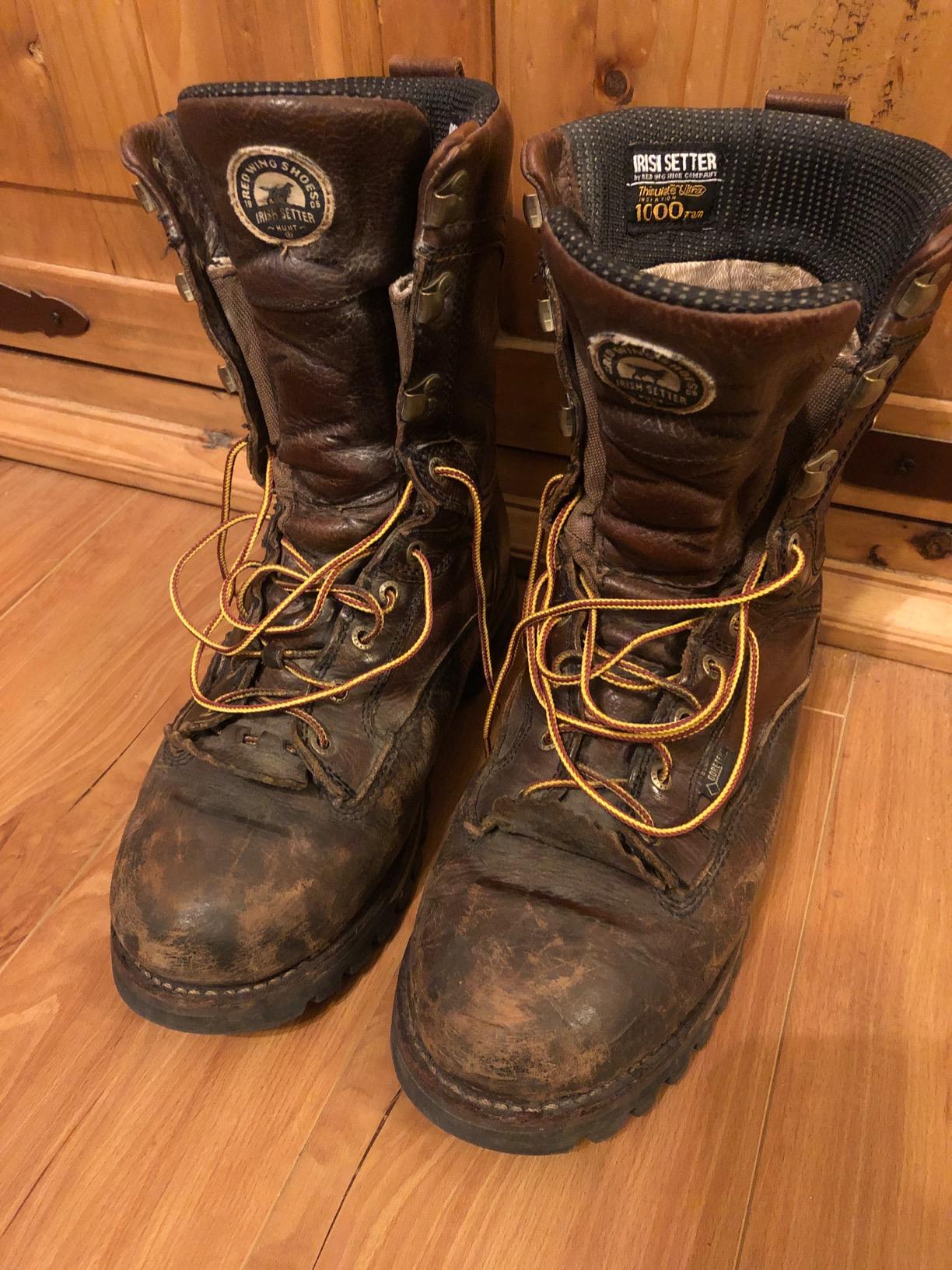 Irish Setter Elk Tracker Men's 12