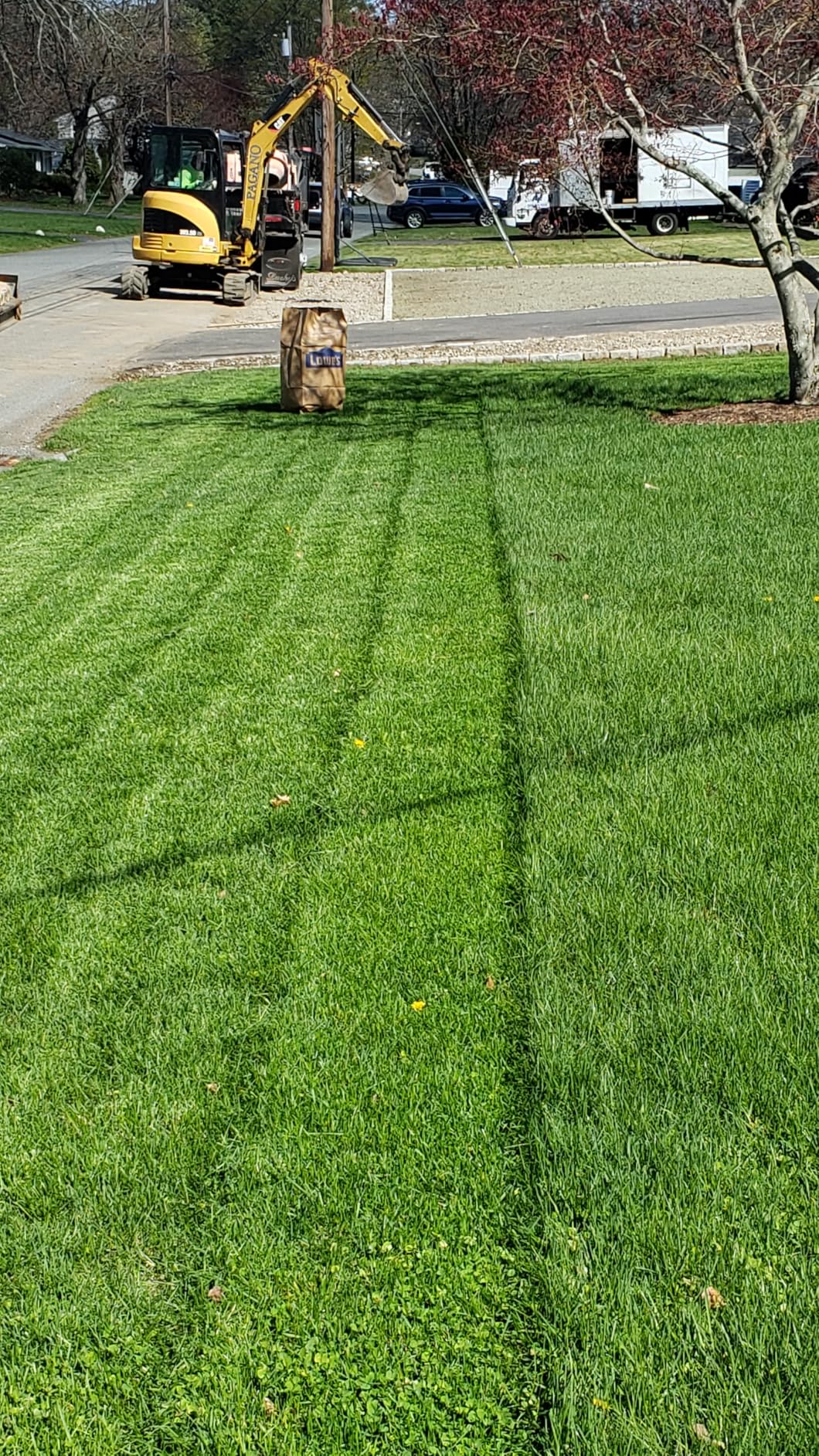 SKIL PWR CORE 40 Brushless 40V 20-Inch Self-Propelled Mower Kit, Includes 6.0Ah Battery and Auto PWR JUMP Charger - SM4910C-11 customer photo 2
