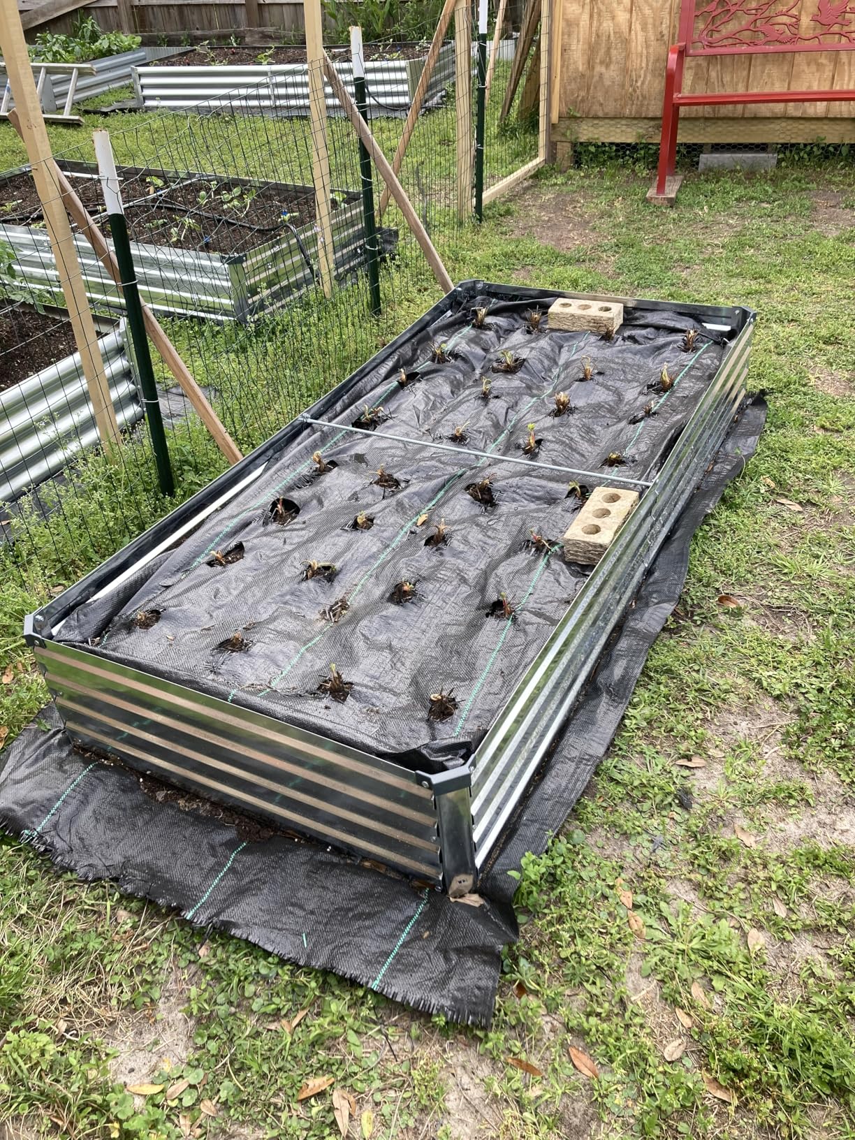 Meberam 2 Pack 6x3x1FT Galvanized Raised Garden Beds Kit Outdoor Metal Gardening Planter Box for Vegetable Elevated Flower Herbs, Silver customer photo 1