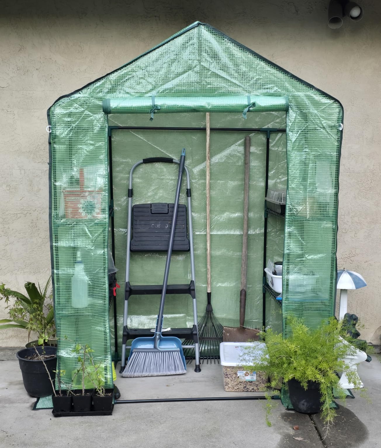 Greengro Greenhouse, 28 x 57 x 76'' Greenhouses for Outdoors, Small Plant Green House with Screen Windows, 3 Tiers 4 Shelves, Durable PE Cover, Plastic Portable Walk in Greenhouses for Outside Indoor customer photo 1
