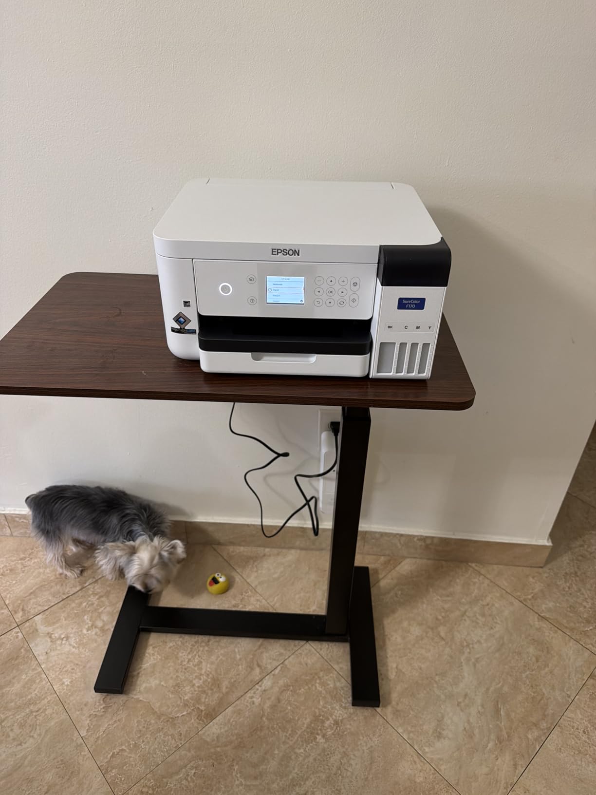 Epson SureColor F170 Dye-Sublimation Printer - Compact 8.5
