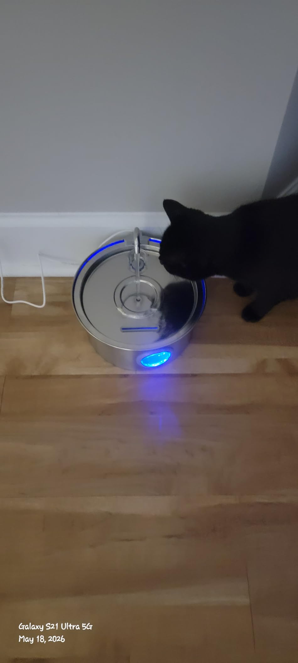 Cat Water Fountain Stainless Steel: 74oz/2.2L Cat Fountain for Drinking - Pet Water Fountain for Cats Inside - Quiet Cats Water Bowl Dispenser - Kitty Drinking Fountains - for Pets& Small Animals customer photo 1