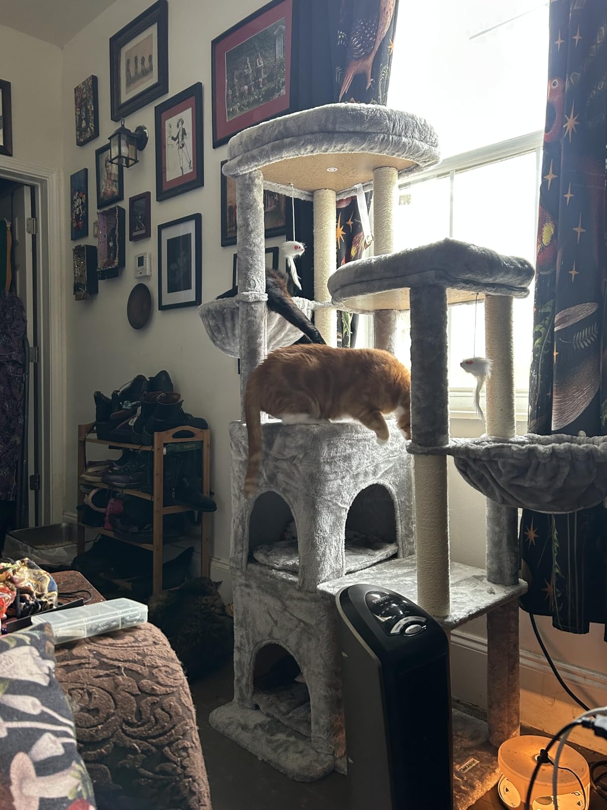 Globlazer Cat Tree Tower for Indoor Cats, 50-inch Adult Cat Tree House for Large Adult Cats with Steps, Scratching Post, 2 Cat Caves, Dangling Toys, FC50, Light Grey customer photo 1