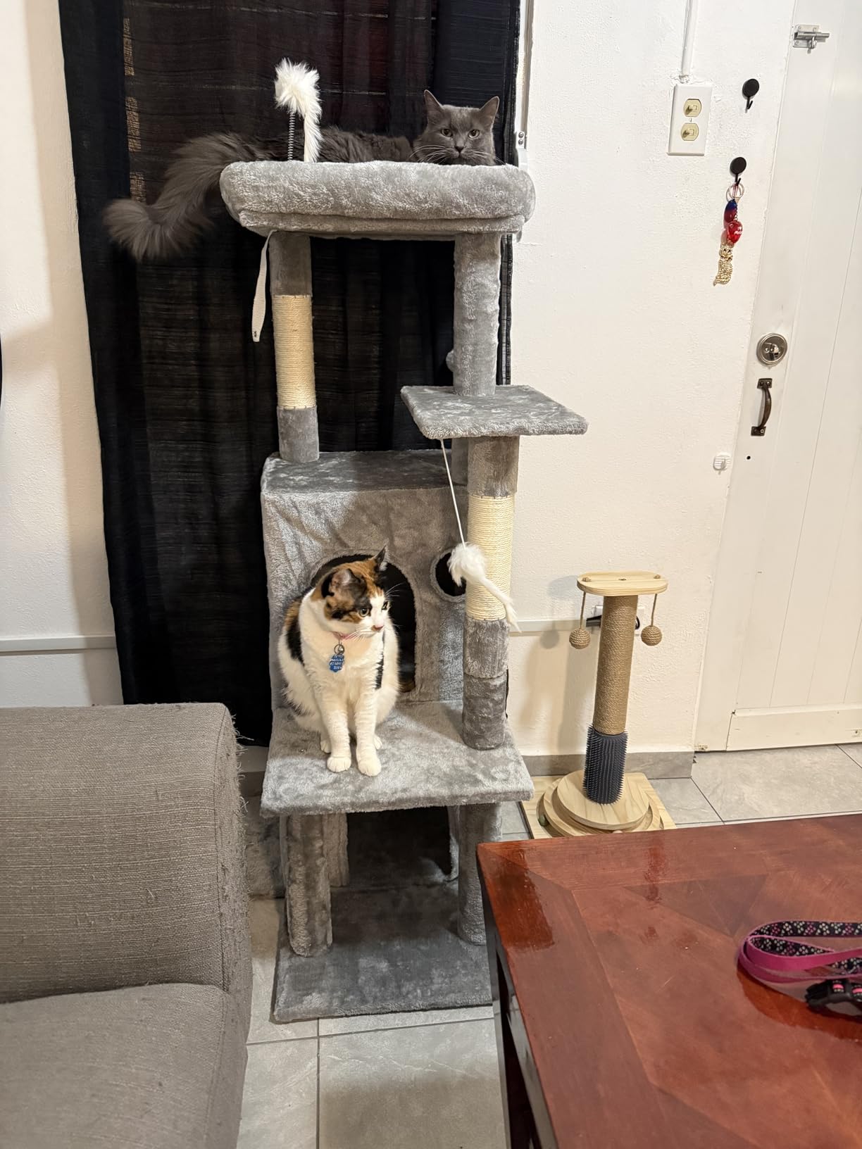 Globlazer Cat Tree Tower for Indoor Cats, 50-inch Adult Cat Tree House for Large Adult Cats with Steps, Scratching Post, 2 Cat Caves, Dangling Toys, FC50, Light Grey customer photo 2