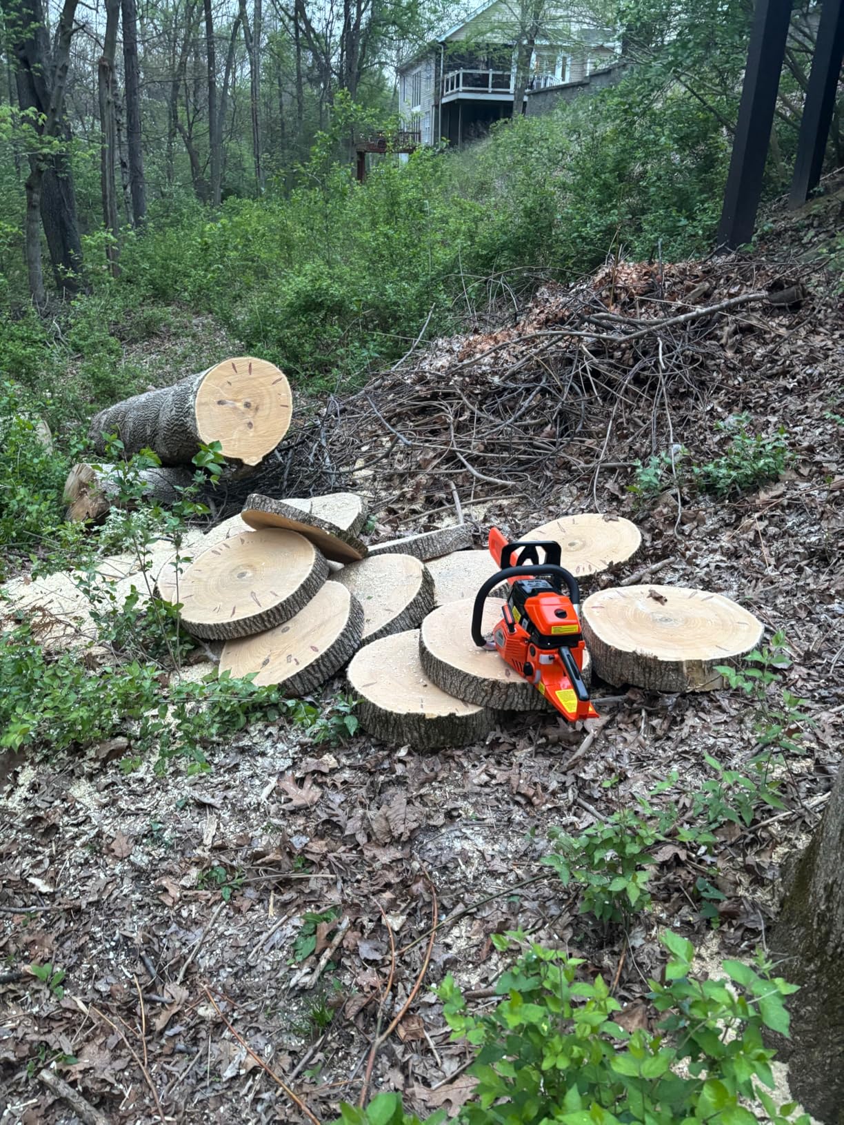 SUPMIXTOOLS 62cc Gas Chainsaw 20 Inch Gas Powered Chainsaws 2-Cycle Petrol Handheld Gasoline Chain Saw Power Saws for Cutting Wood Tree Trimming customer photo 1