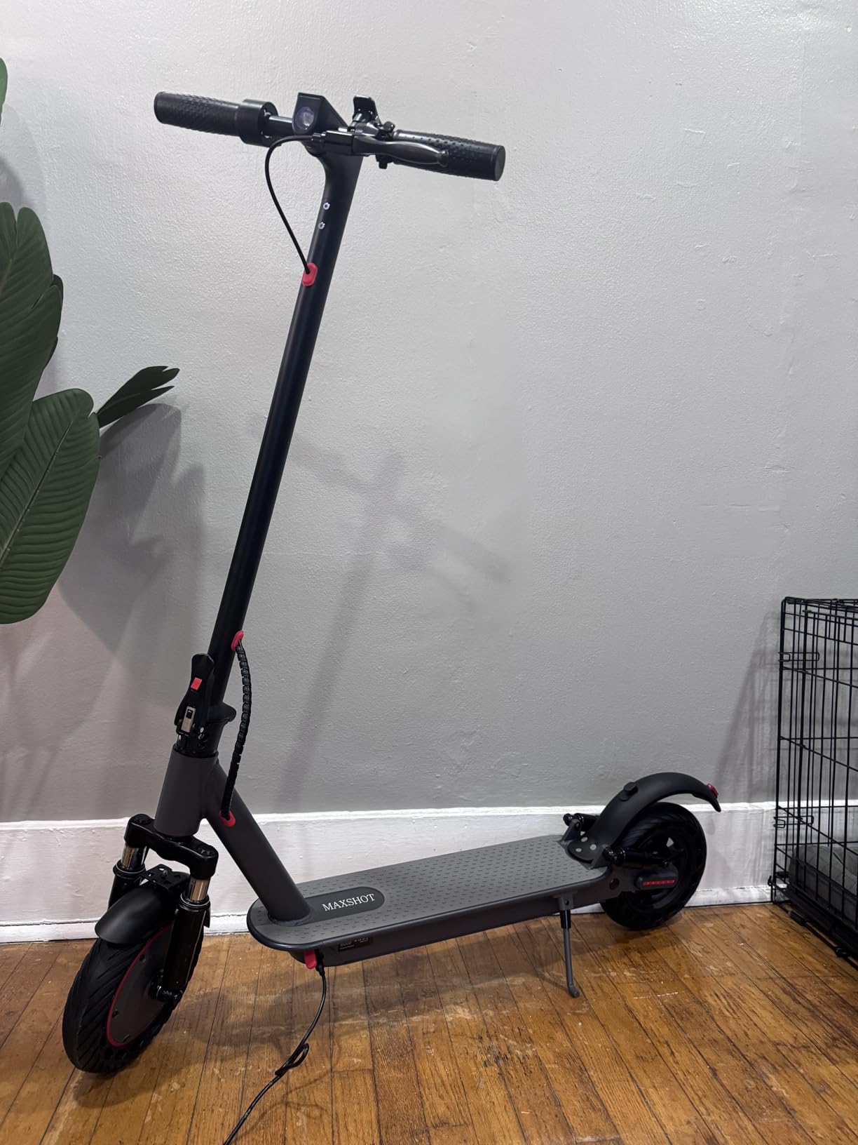 Maxshot Electric Scooter, 8.5