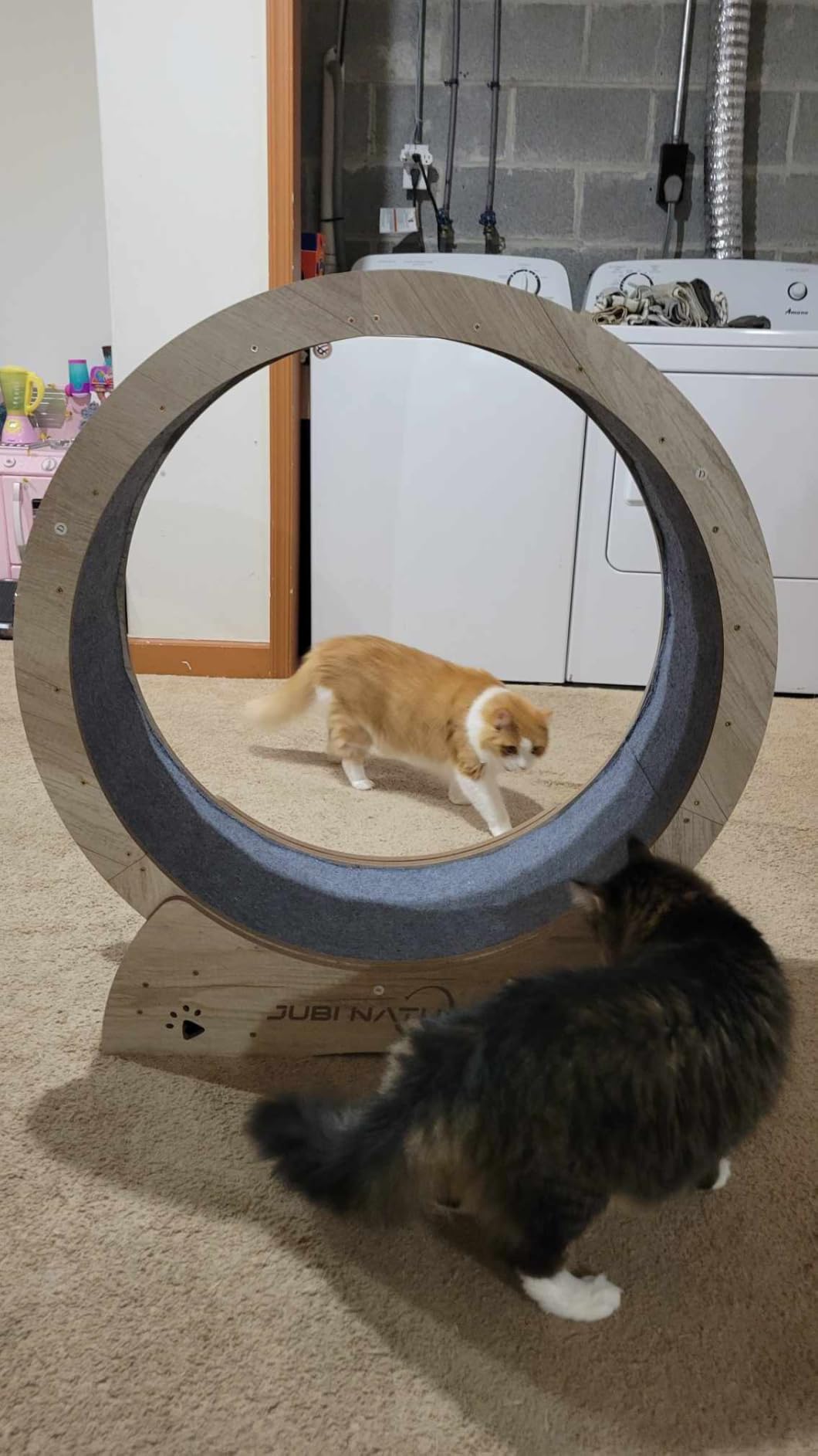 Cat Exercise Wheel, 35.9