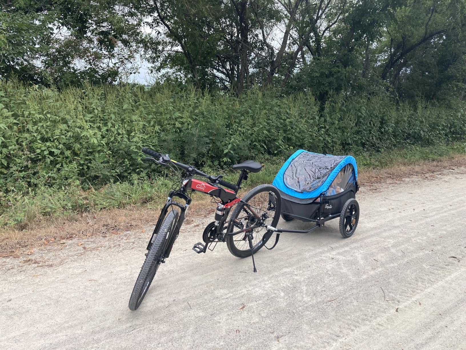 Sepnine Kids Bike Trailer, Suitable for 1 to 2 Kids, 12+ Months, Quick Attach to Bike, Foldable, with 5-Point Harness and Storage Bags customer photo 1
