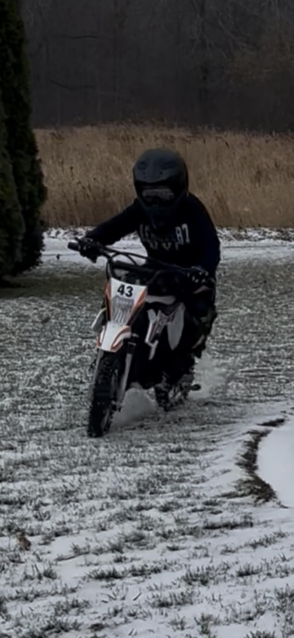 Blitzshark 36V 650W Kids Electric Dirt Bike, Off-Road Motocross Motorcycle with 17 MPH Max Speed, Dual Disc Brakes, Aluminum Wheels, Dual Suspension, Twist Grip Throttle, Rubber Tires, Leather Seat customer photo 2